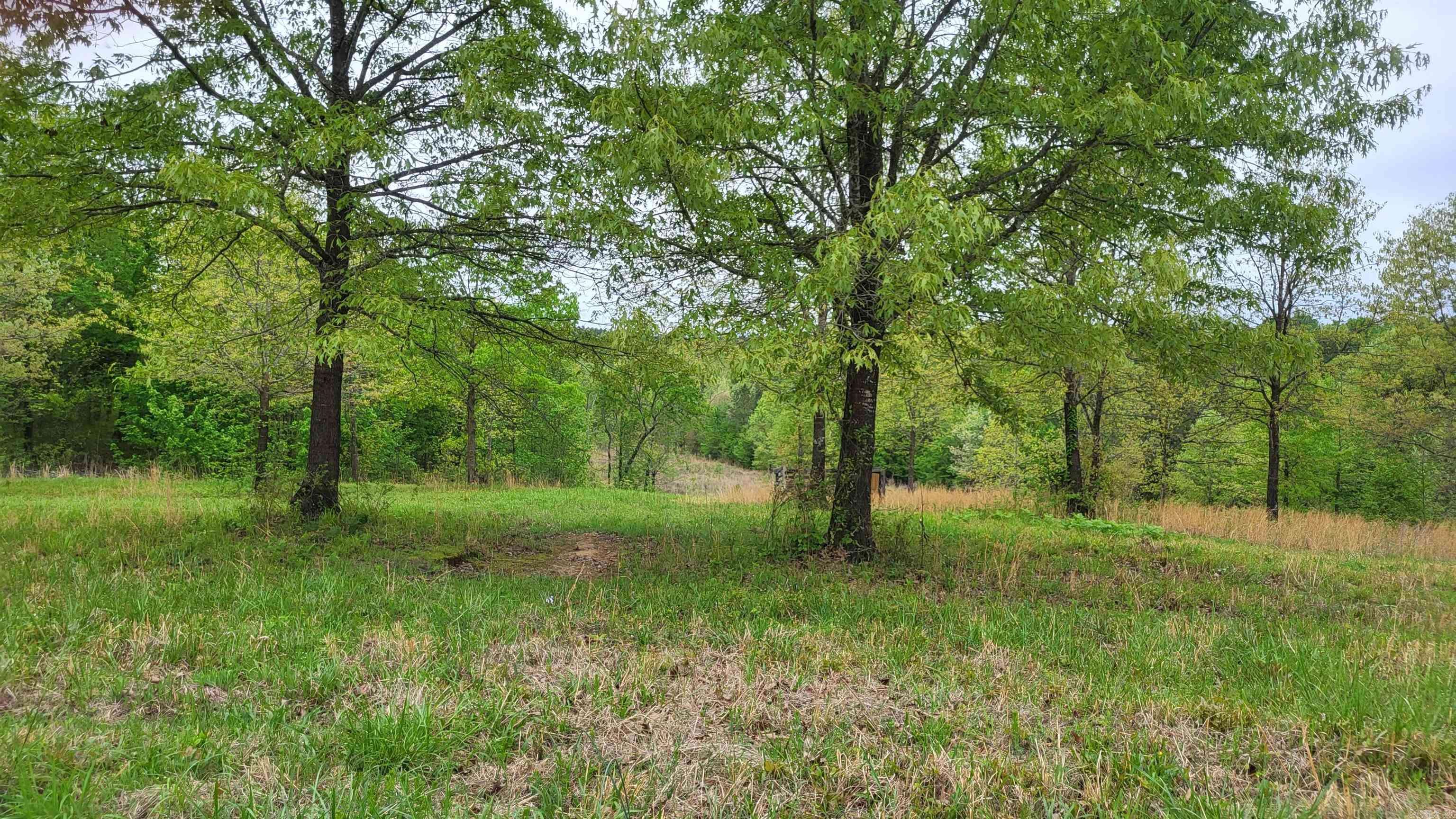 Smithville, OK 74957,14339 Zafra Road
