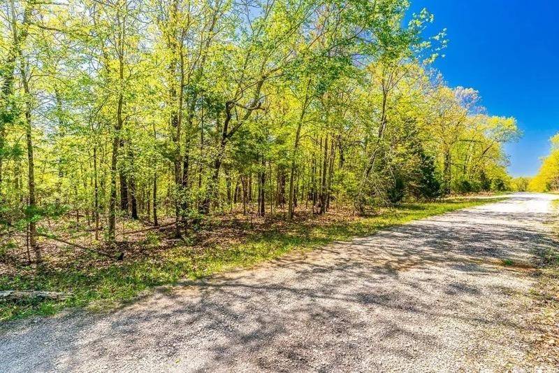 Horseshoe Bend, AR 72512,709 Primrose Lane