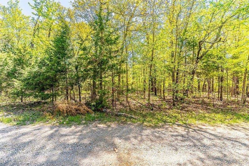 Horseshoe Bend, AR 72512,709 Primrose Lane