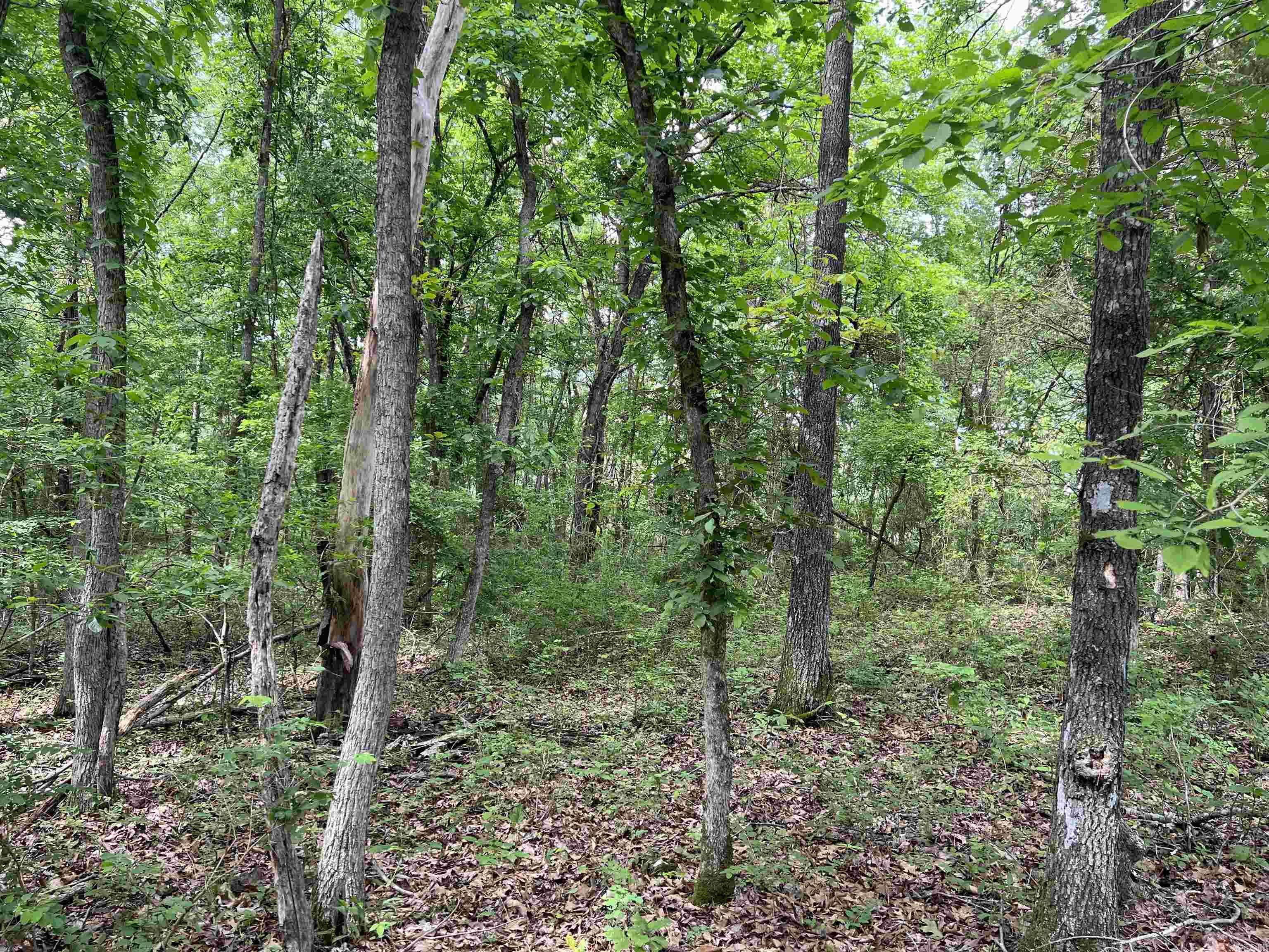 Harrison, AR 72601,9.58 Acres on Meadow Creek Drive