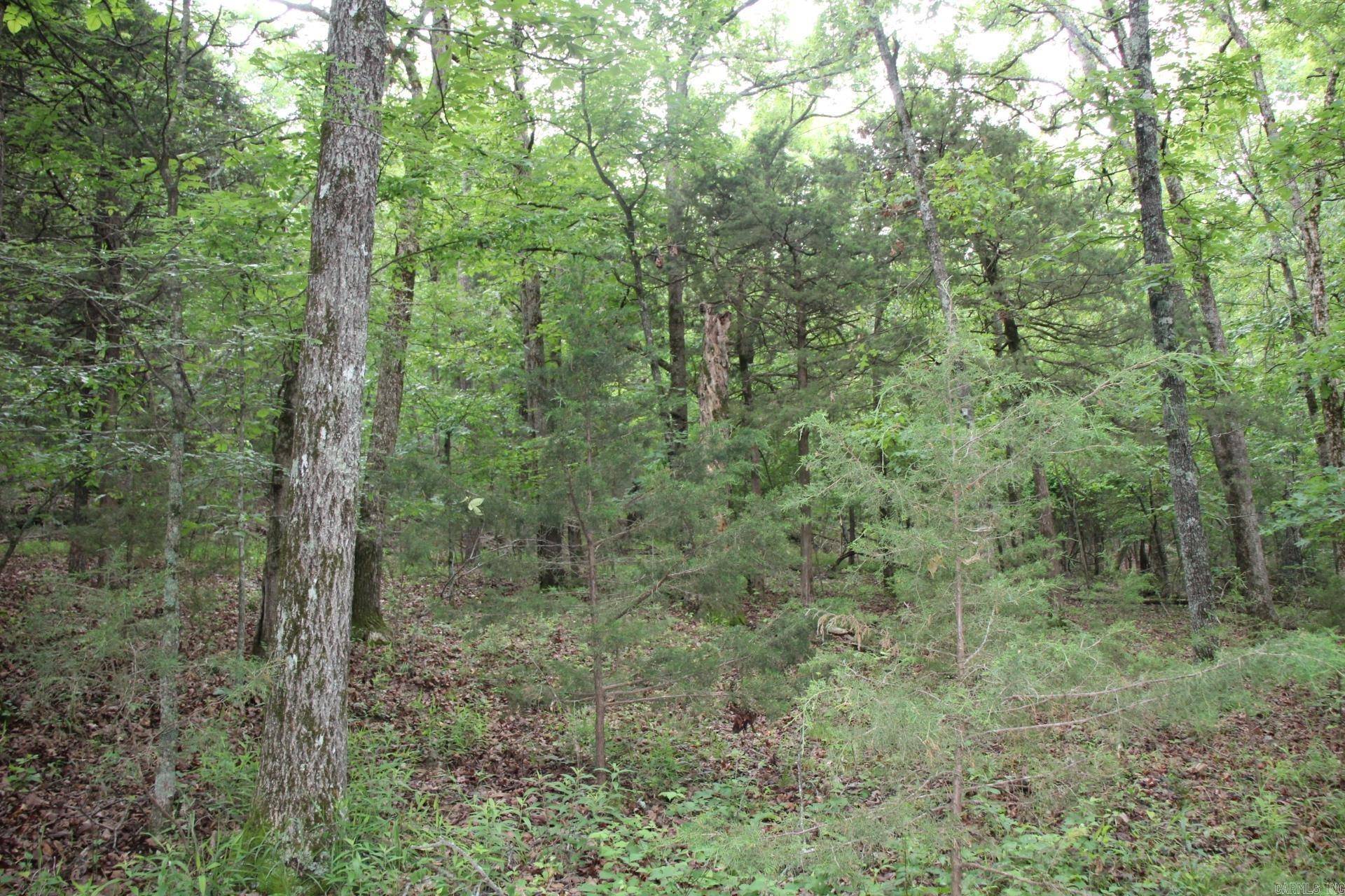 Yellville, AR 72687,001-05594-000 MC 8012