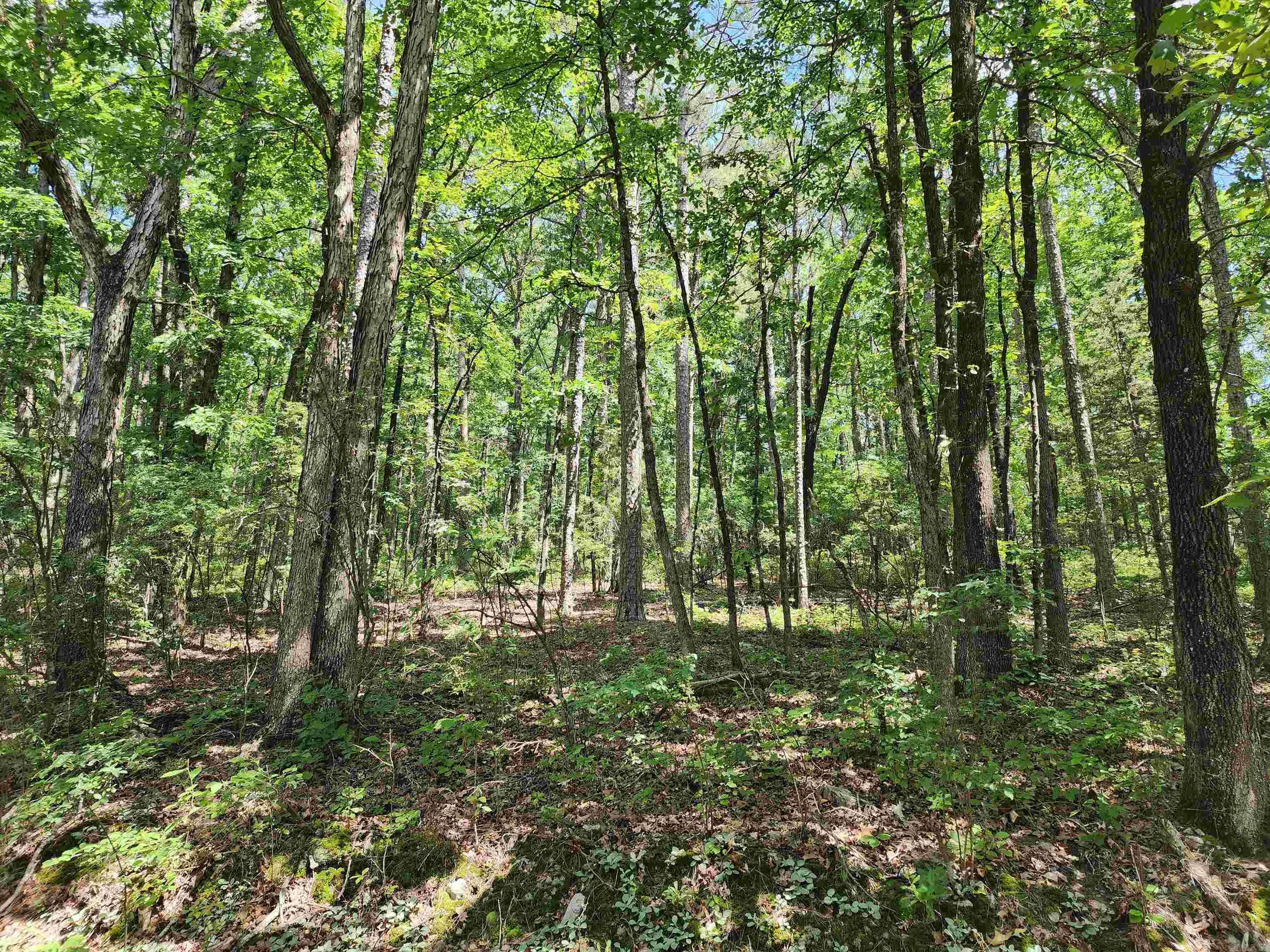 Hot Springs Village, AR 71901,12 Belmonte Lane