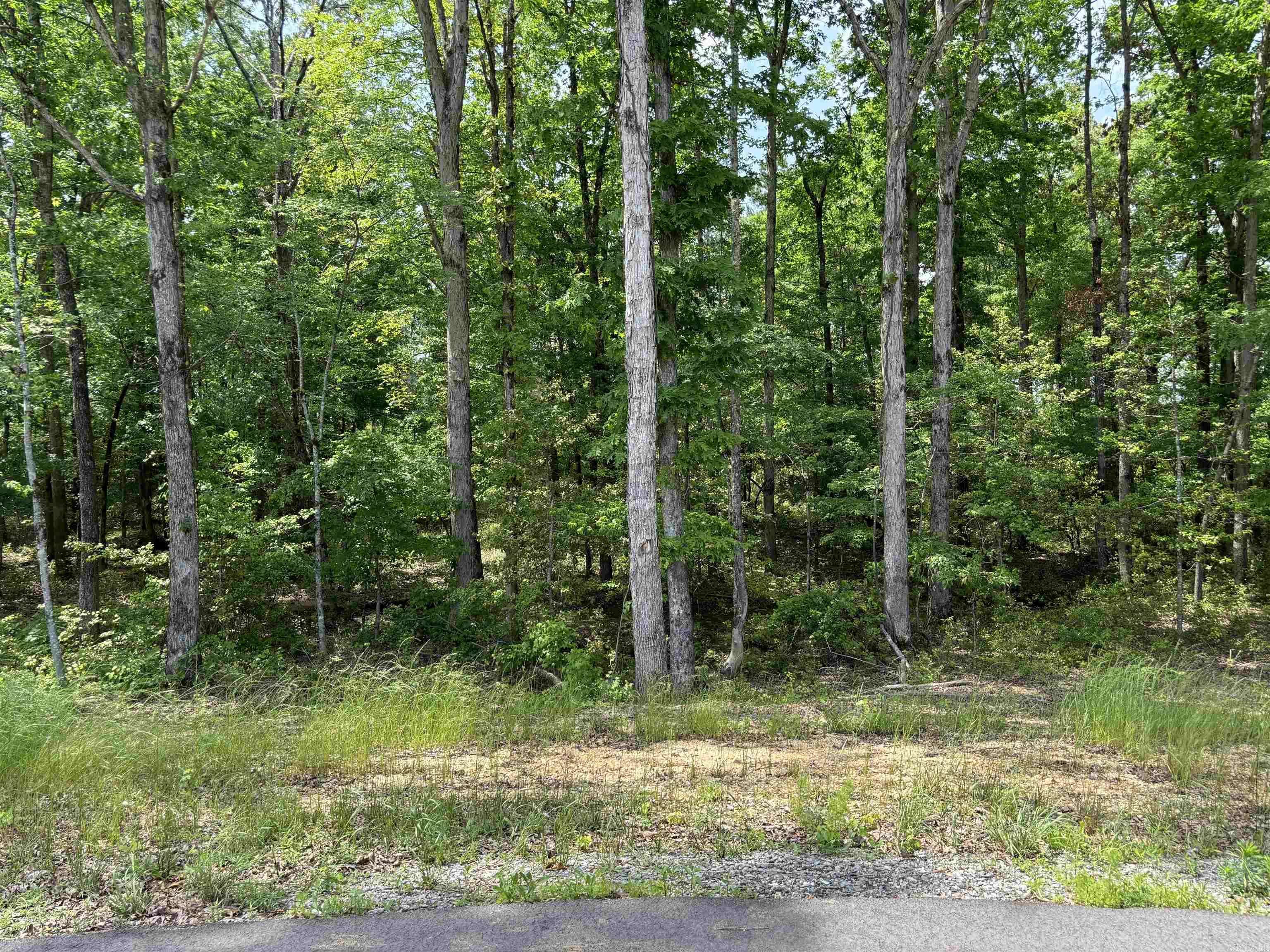 Sheridan, AR 72150,lot 23 Grant County Road 763