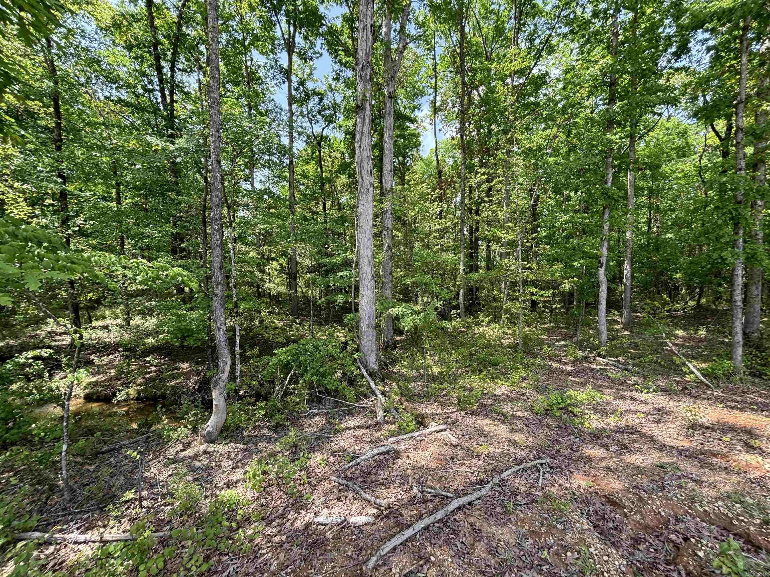 Sheridan, AR 72150,lot 23 Grant County Road 763