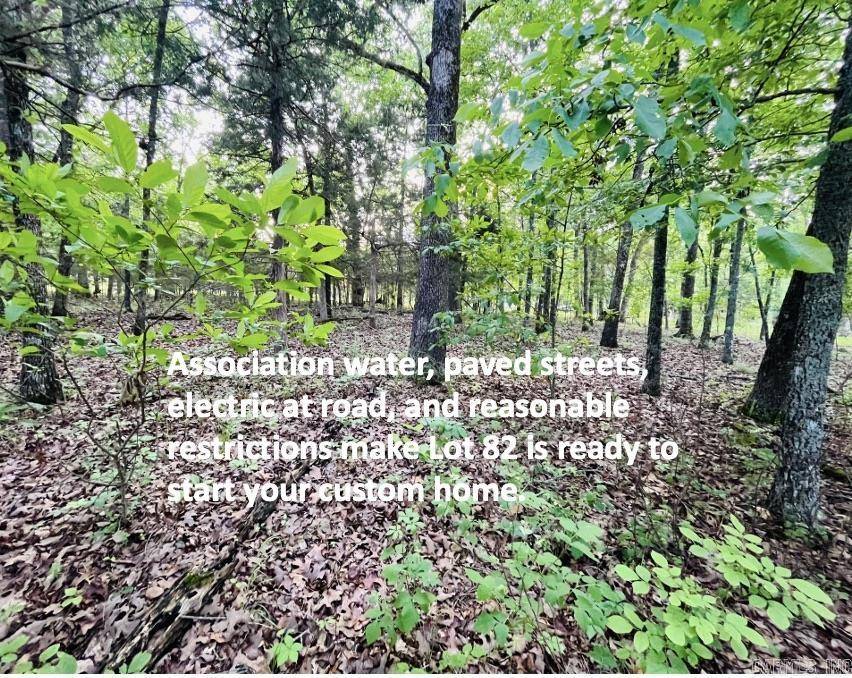 Mountain Home, AR 72653,Lot 82 Ridgeview Drive
