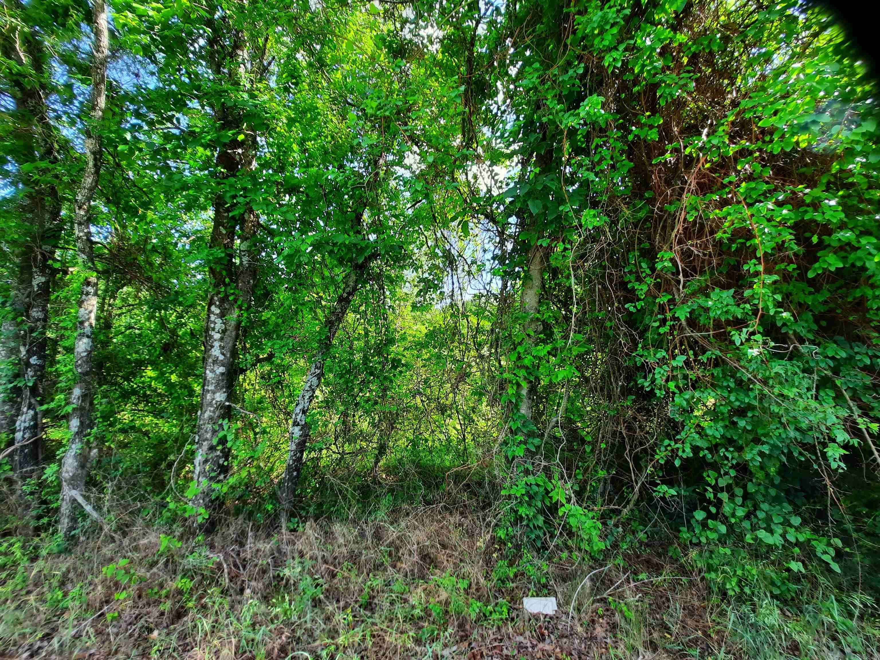 Mountain View, AR 72560,000 Warren Street