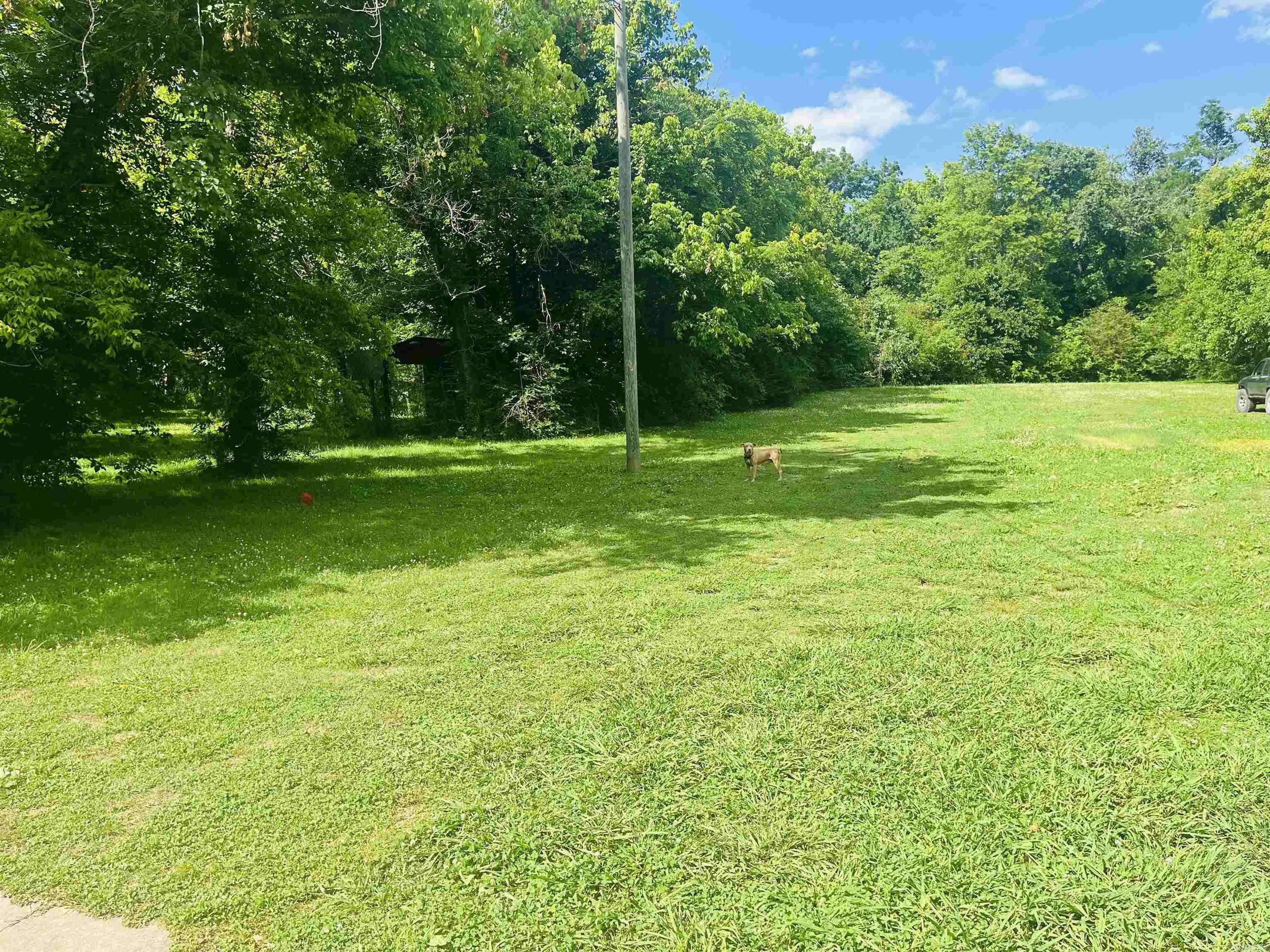 Leslie, AR 72645,103 Limestone Street