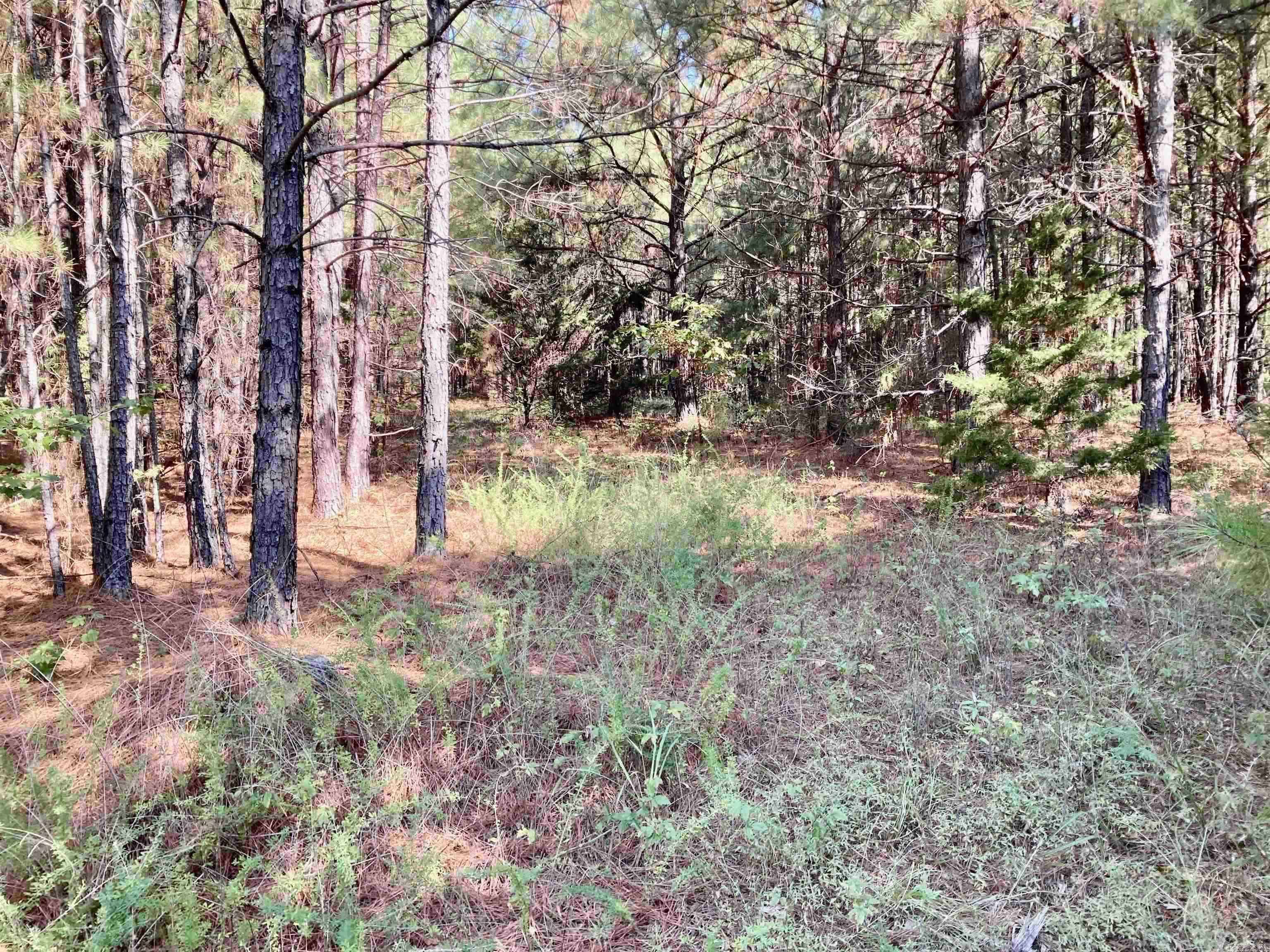 Greenbrier, AR 72058,36 Lieblong Road