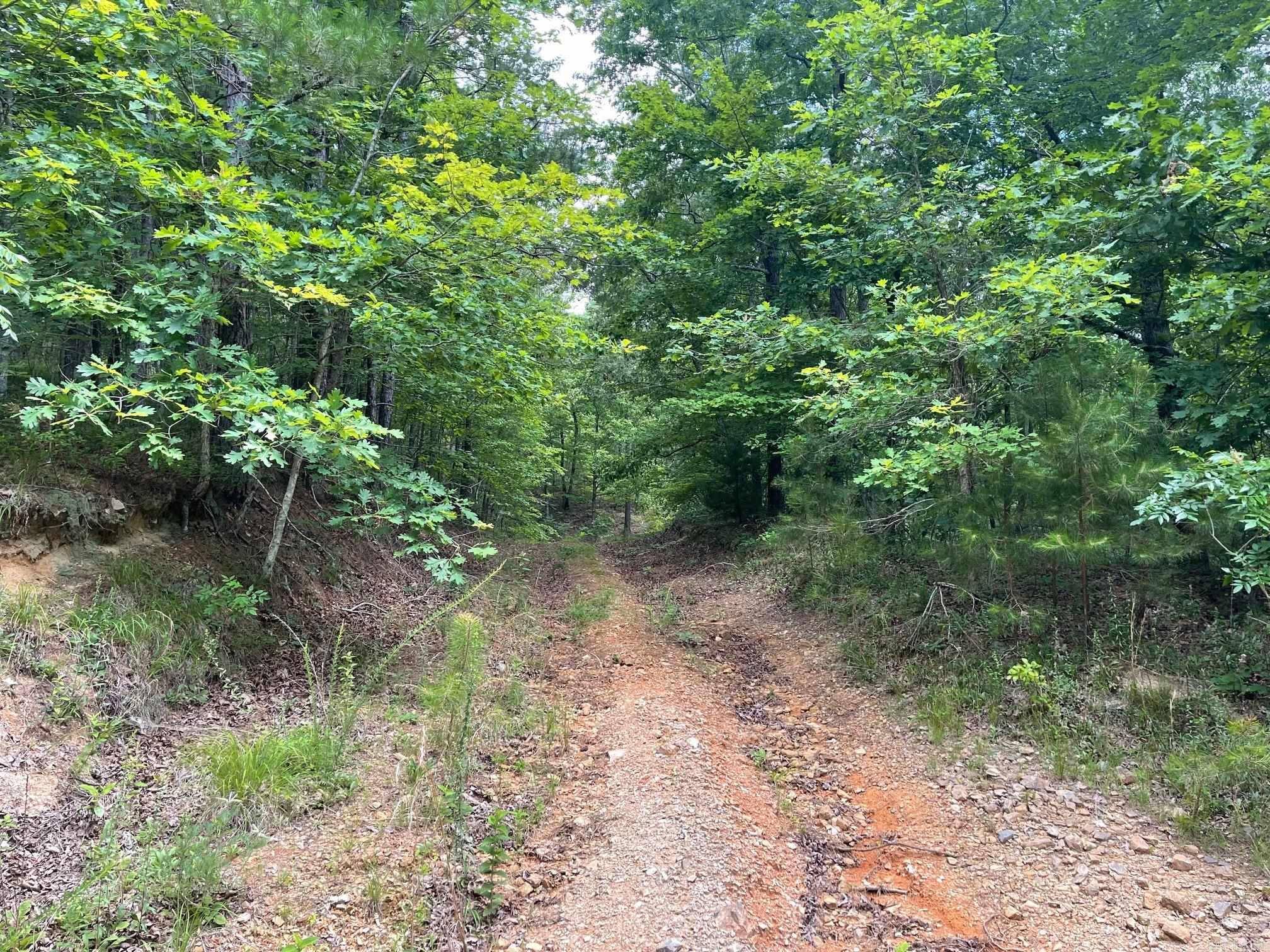 Mena, AR 71953-9999,Address not disclosed