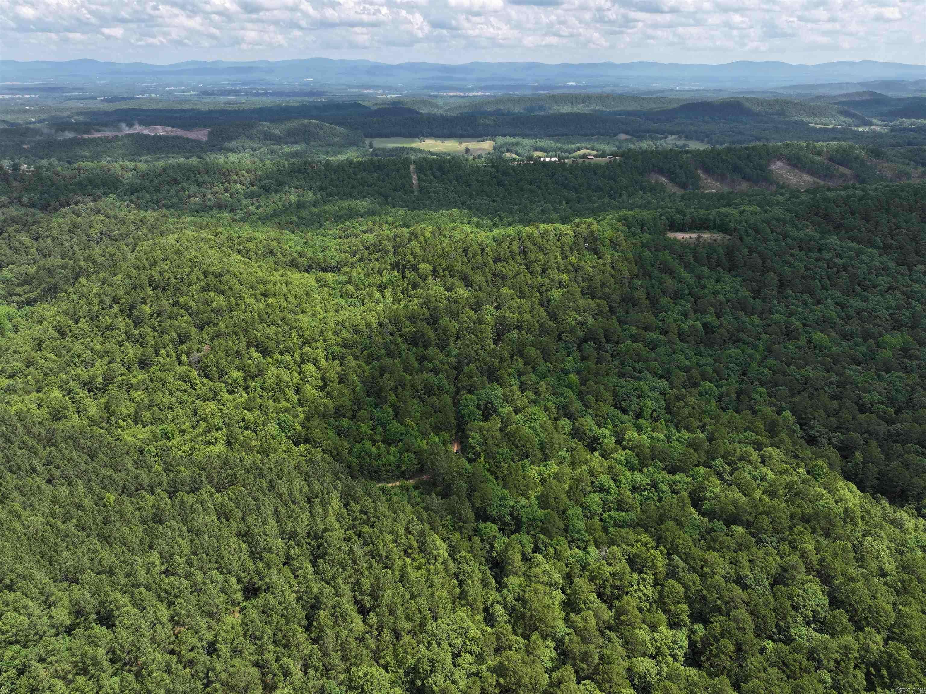 Mena, AR 71953-9999,Address not disclosed