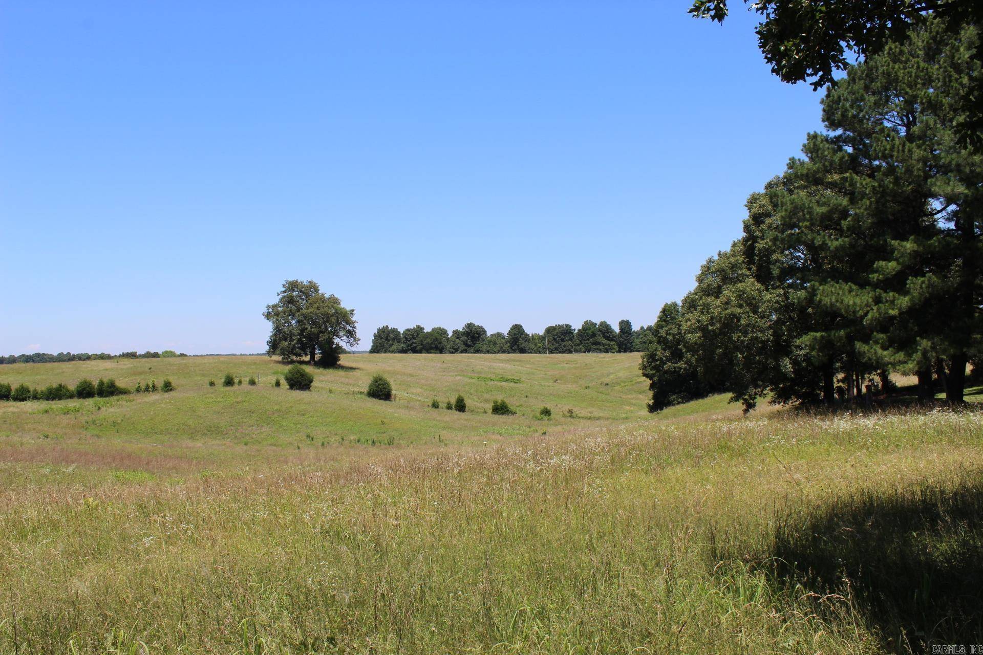 Piggott, AR 72454,472 County Road