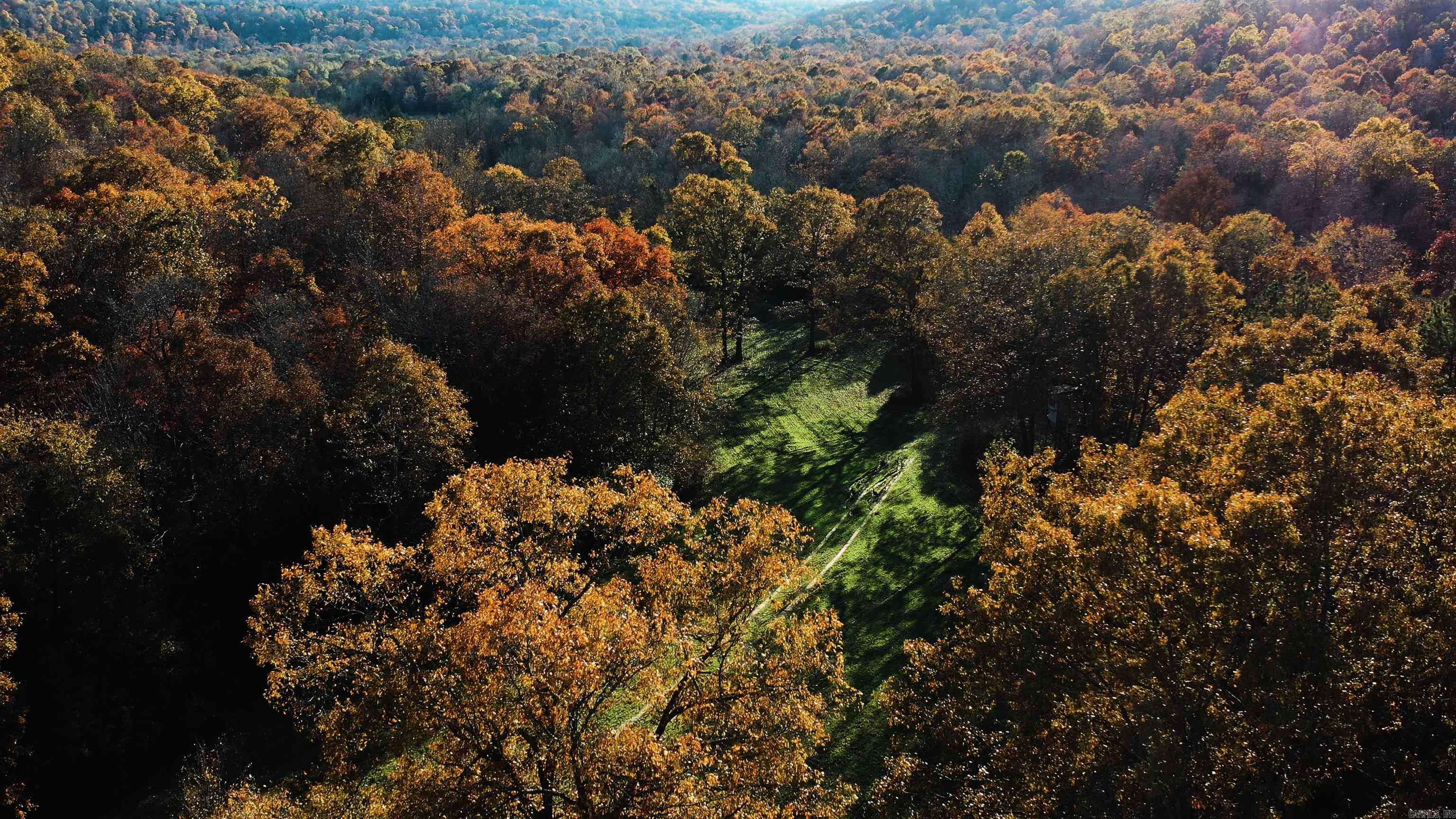Judsonia, AR 72081,000 Summers Loop
