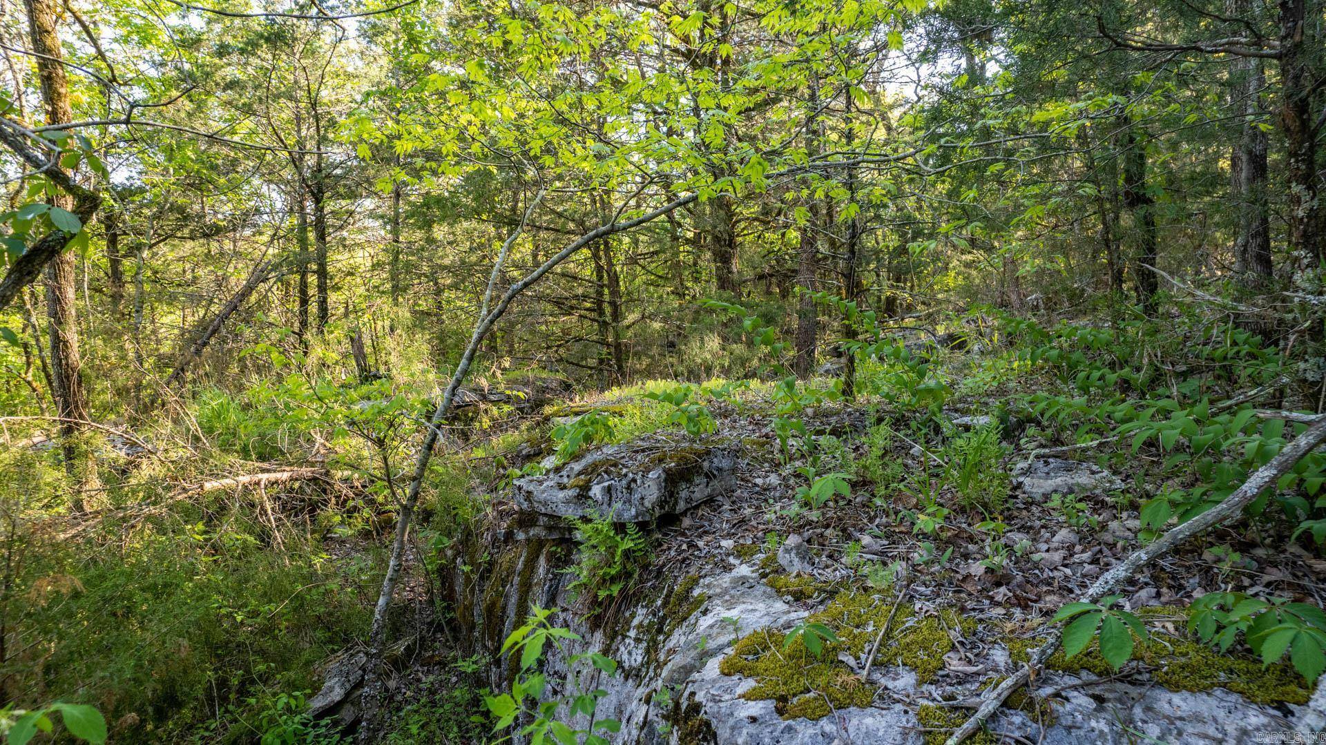 Guion, AR 72540,4103 River Road