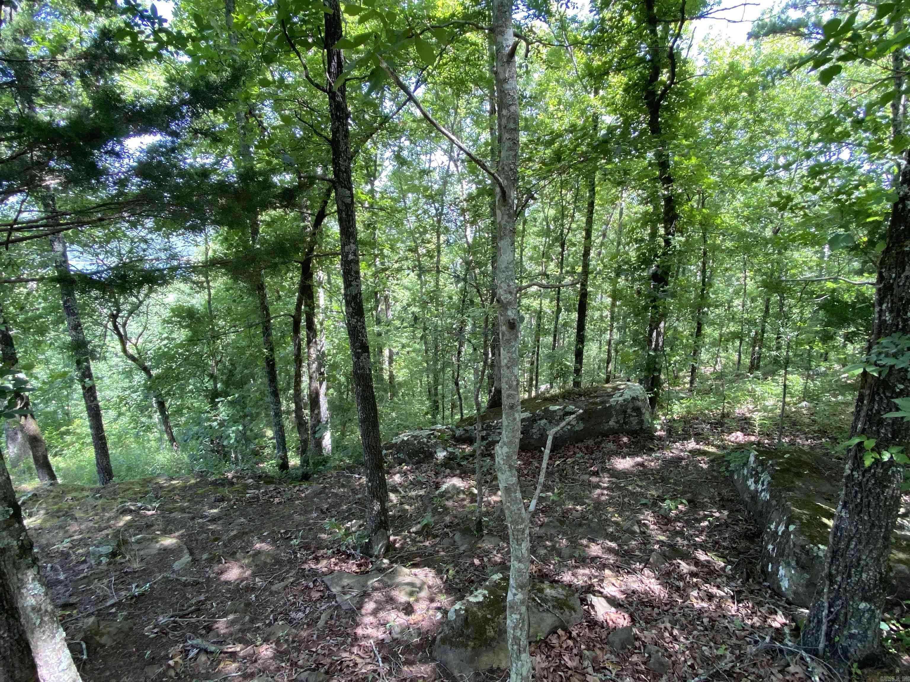 Edgemont, AR 72044,Lot 3 Bluff Drive
