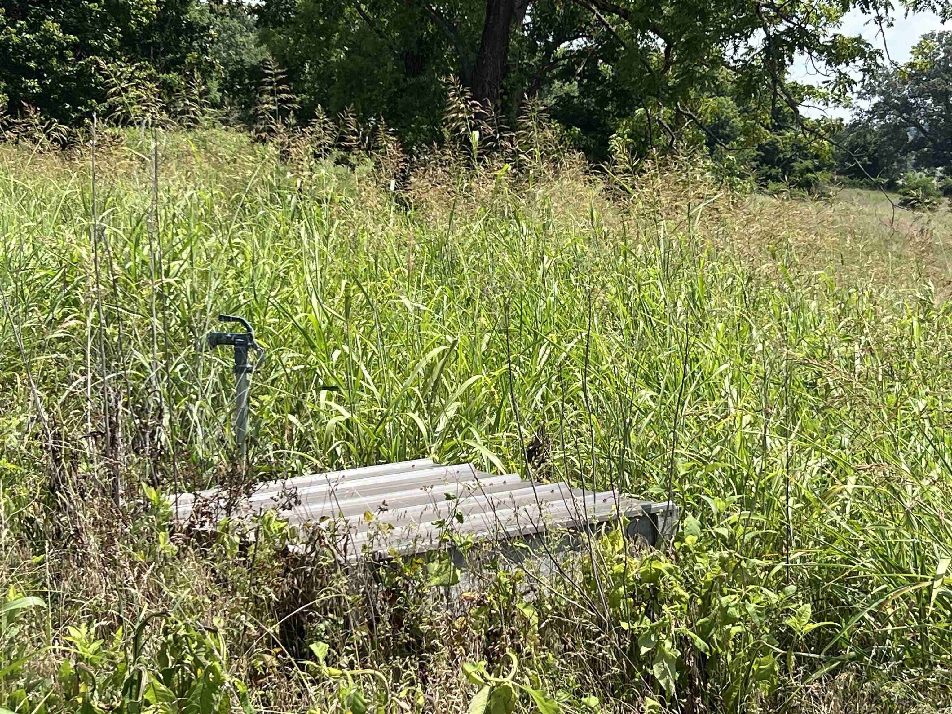 Mammoth Spring, AR 72554,766 Rainbow Valley Trail
