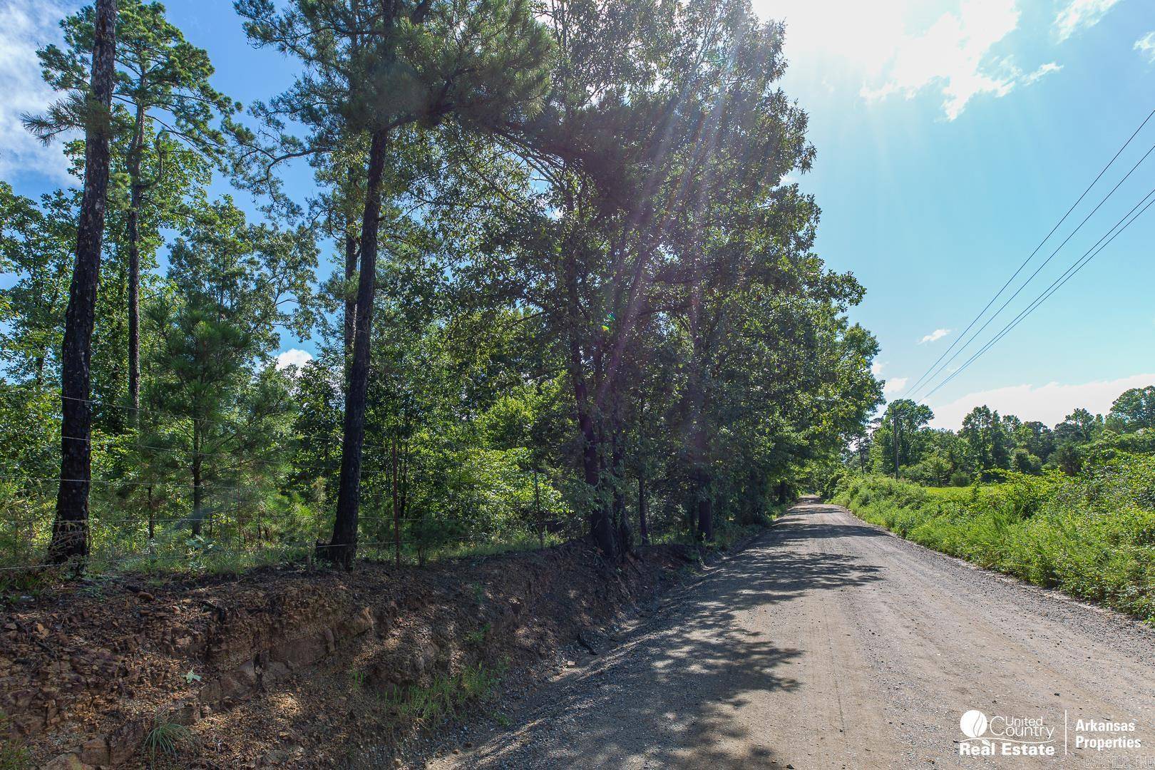 Cove, AR 71937,280 Polk Road 24