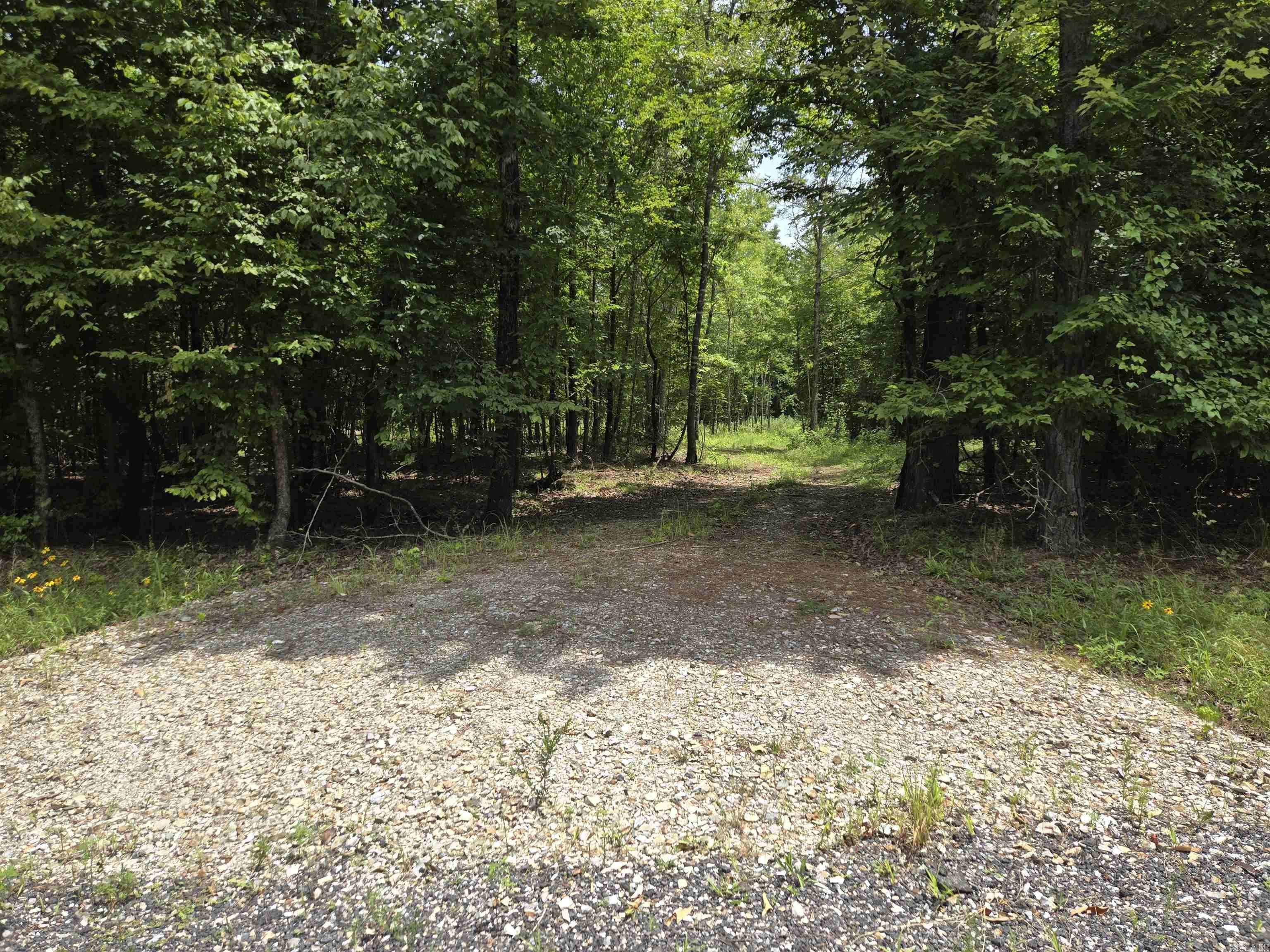 Bonnerdale, AR 71933,445 Peaceful Hills Road