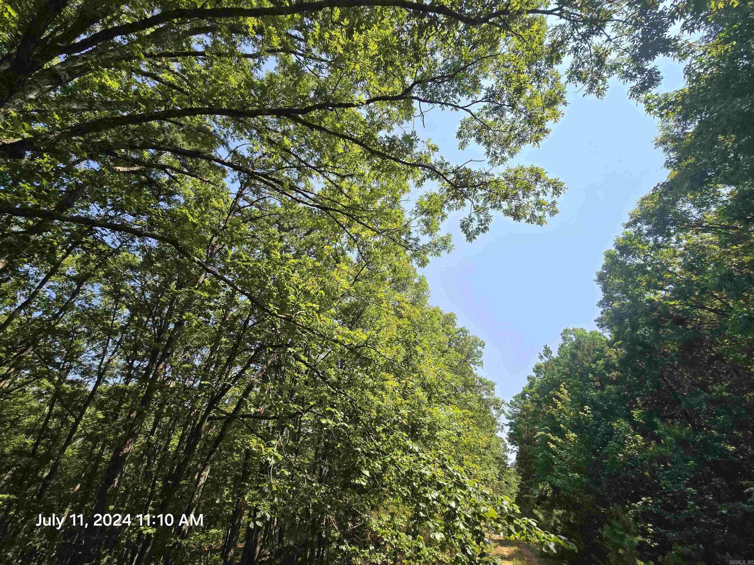 Fairfield Bay, AR 72088,0 Diamond Ln