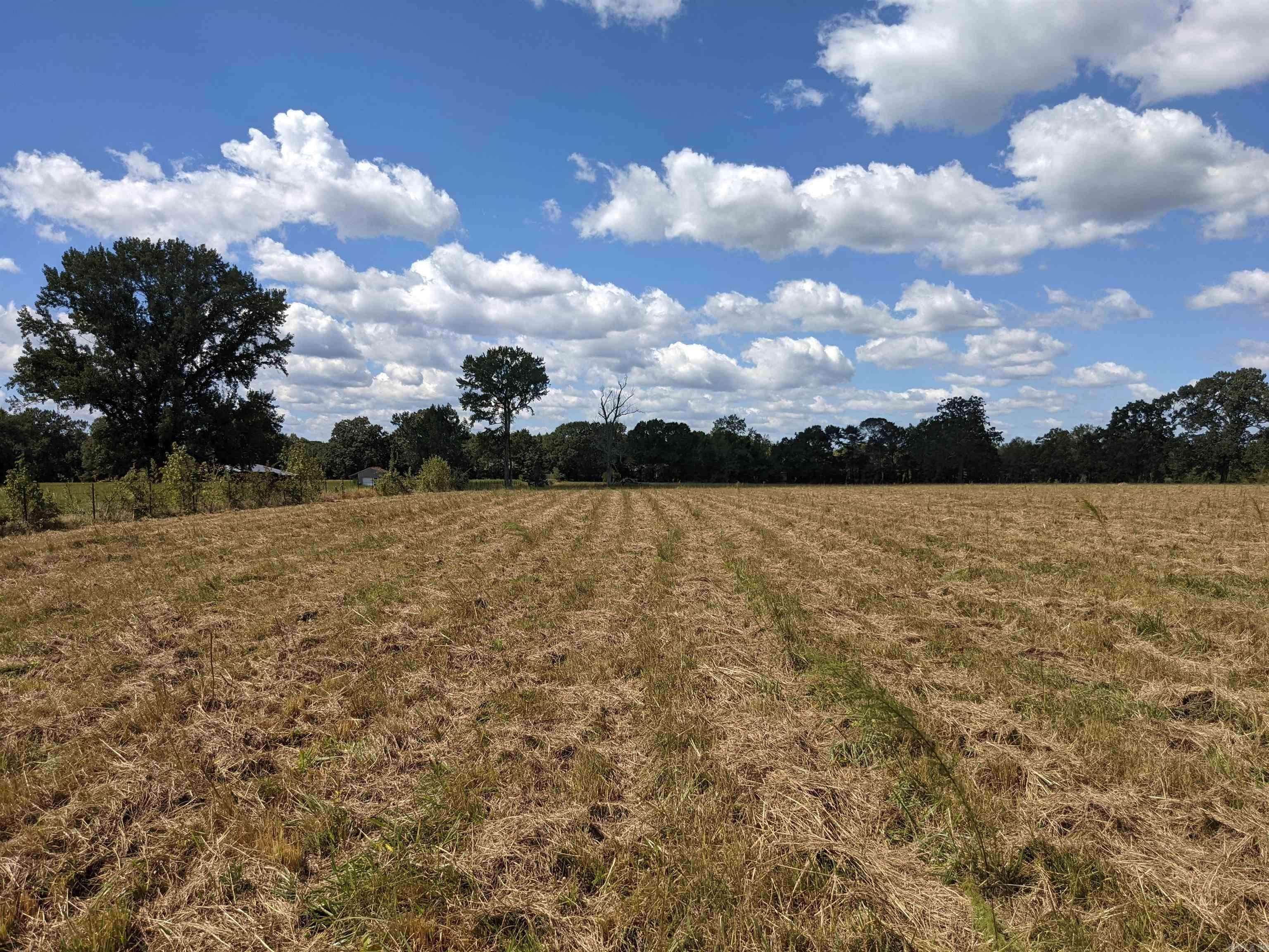 Ward, AR 72176,Lot D Cocklebur Road