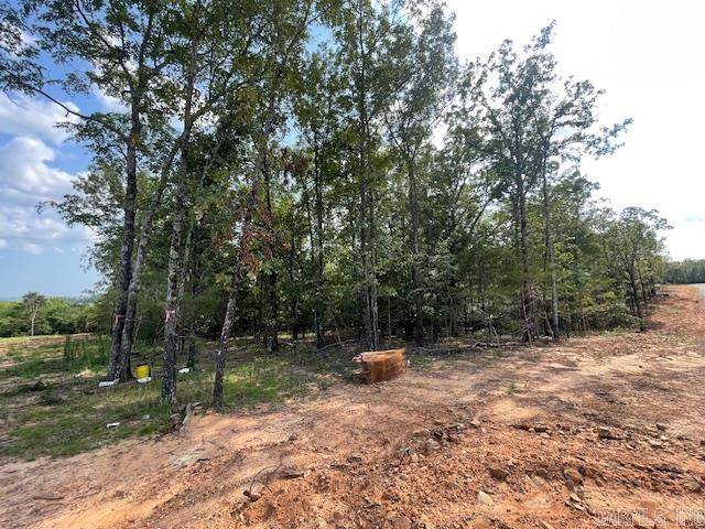 Greenbrier, AR 72058,Lot 5 Hwy 65 / Sky Eagle Drive