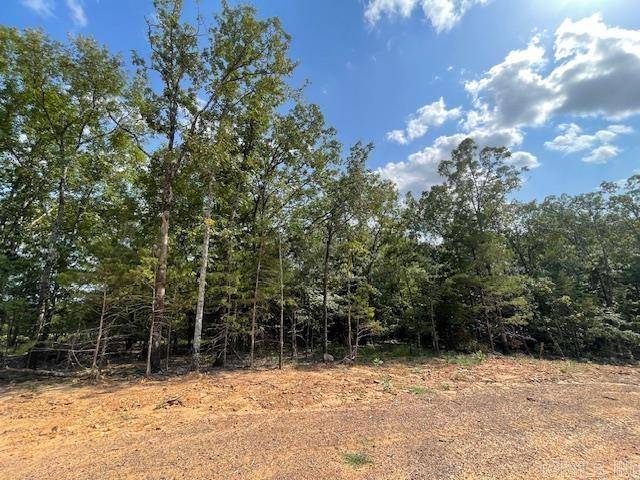 Greenbrier, AR 72058,Lot 5 Hwy 65 / Sky Eagle Drive