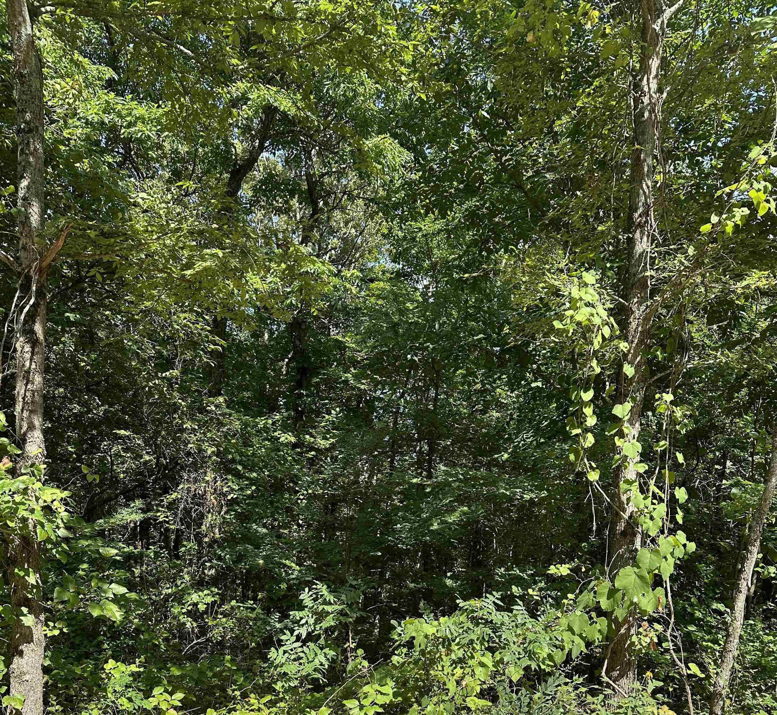 Locust Grove, AR 72550,3.5 acres Heber Springs Road