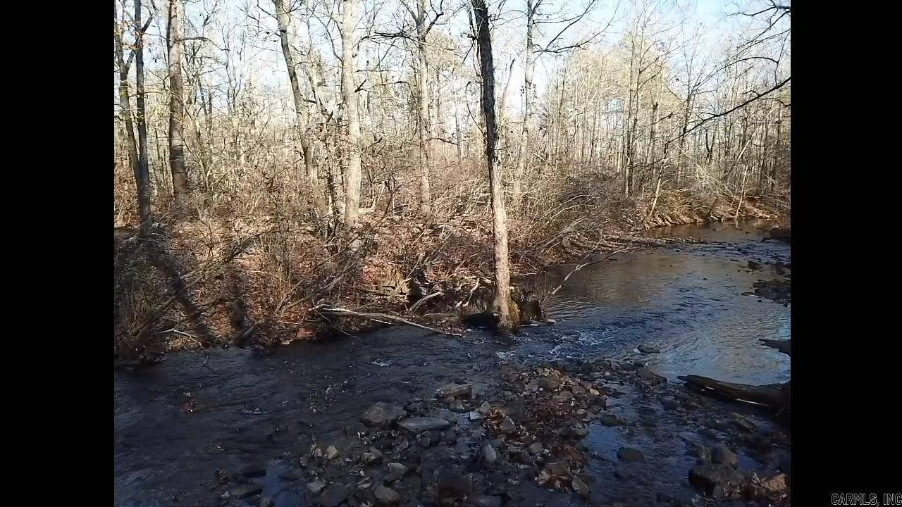 Mountain View, AR 72560,1425 Turkey Creek Road