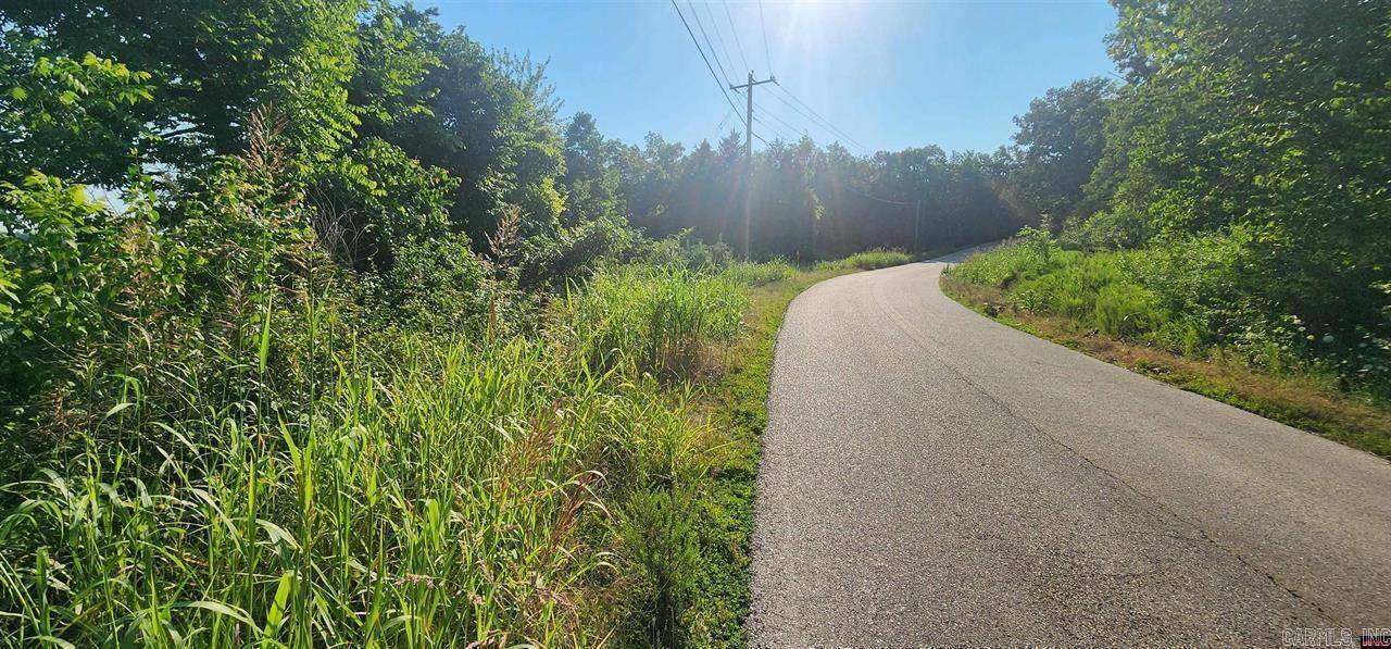 Bull Shoals, AR 72619,Lot 172 Rivercliff Drive