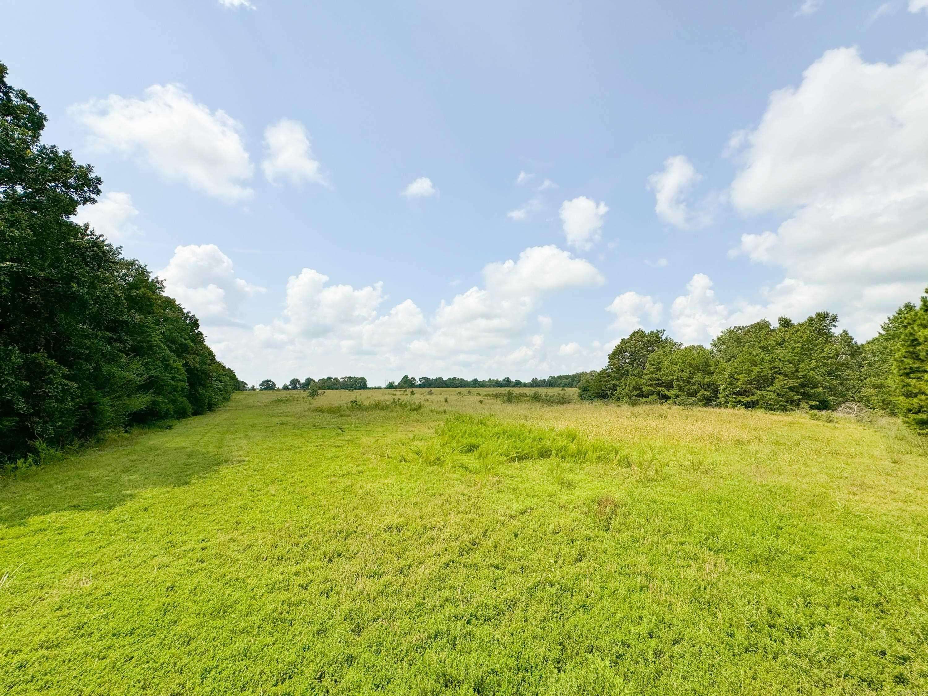 Bee Branch, AR 72013,1300 Scroggins Creek Road
