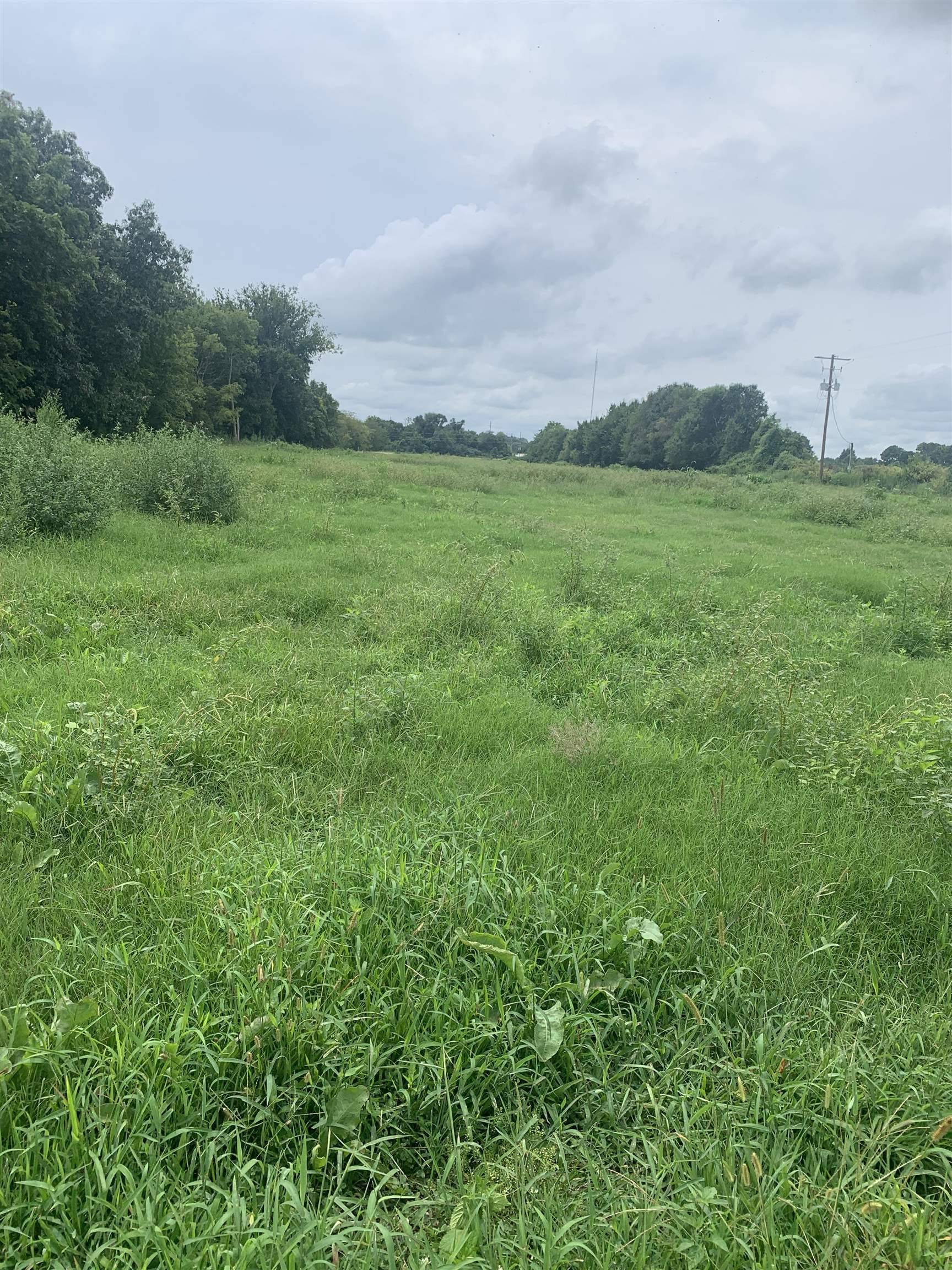 Walnut Ridge, AR 72476,21 Acres W Oak