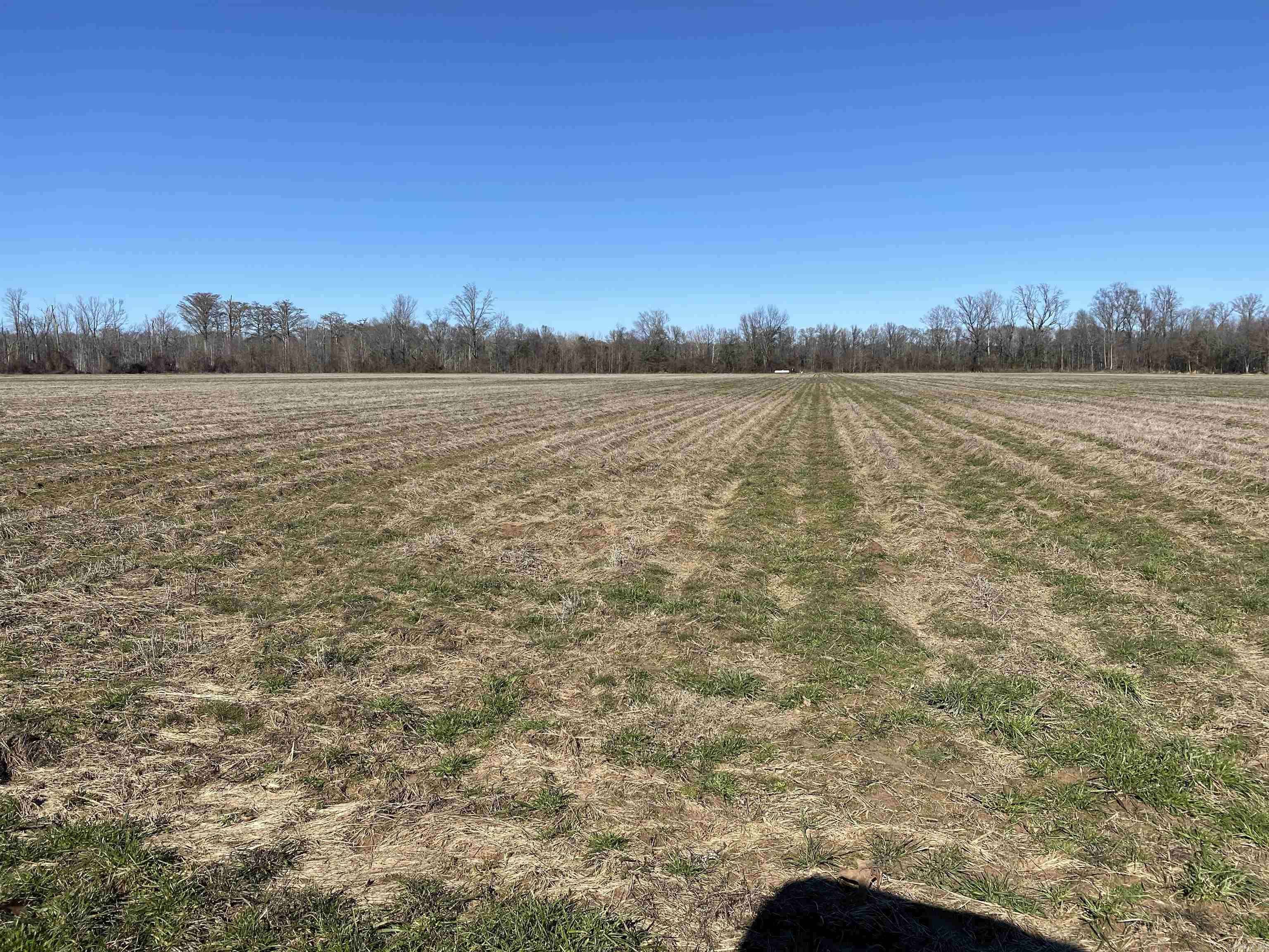 Parkdale, AR 71661,TBD ASHLEY 353