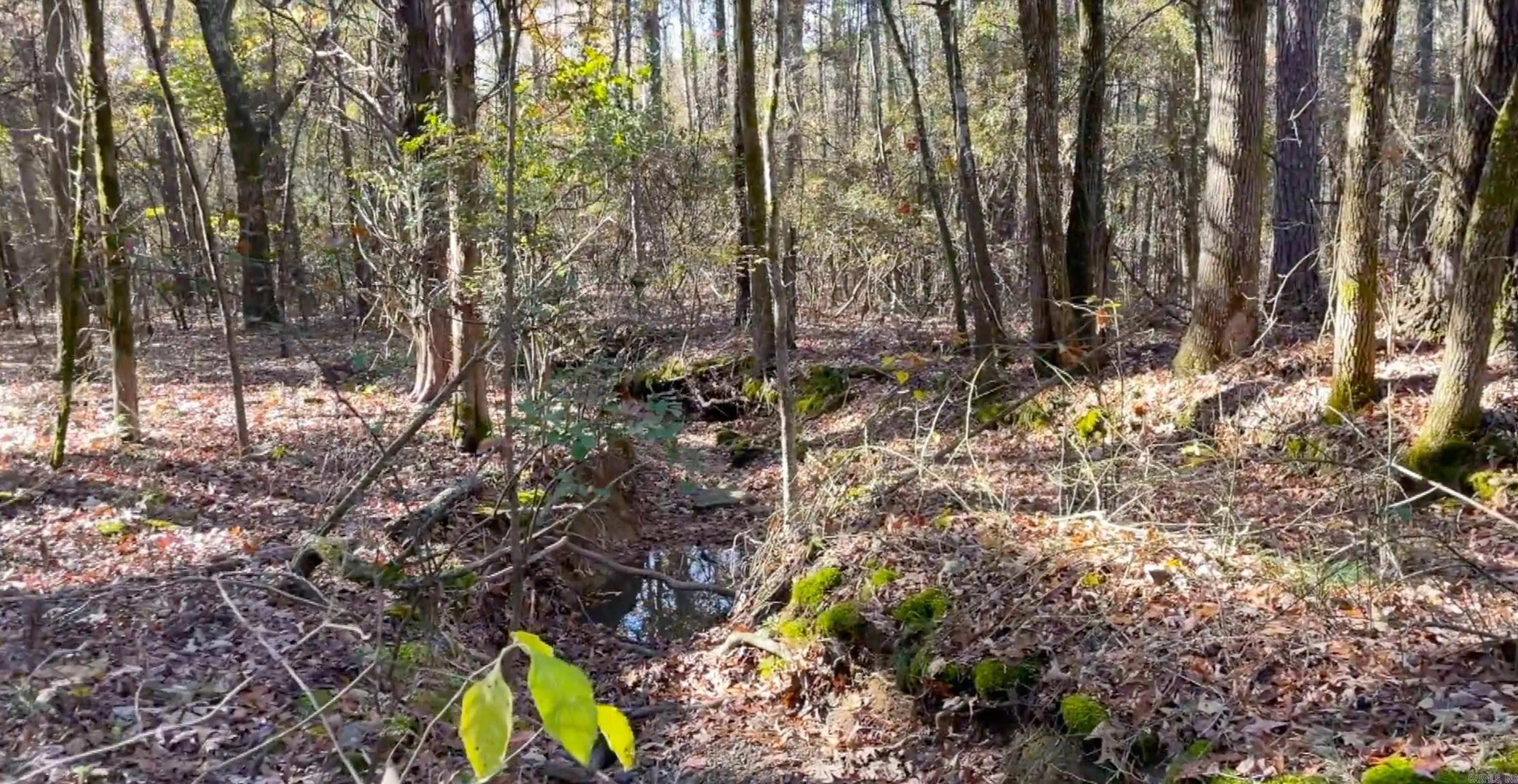 Greers Ferry, AR 72067,Lot 26 Shiloh Landing