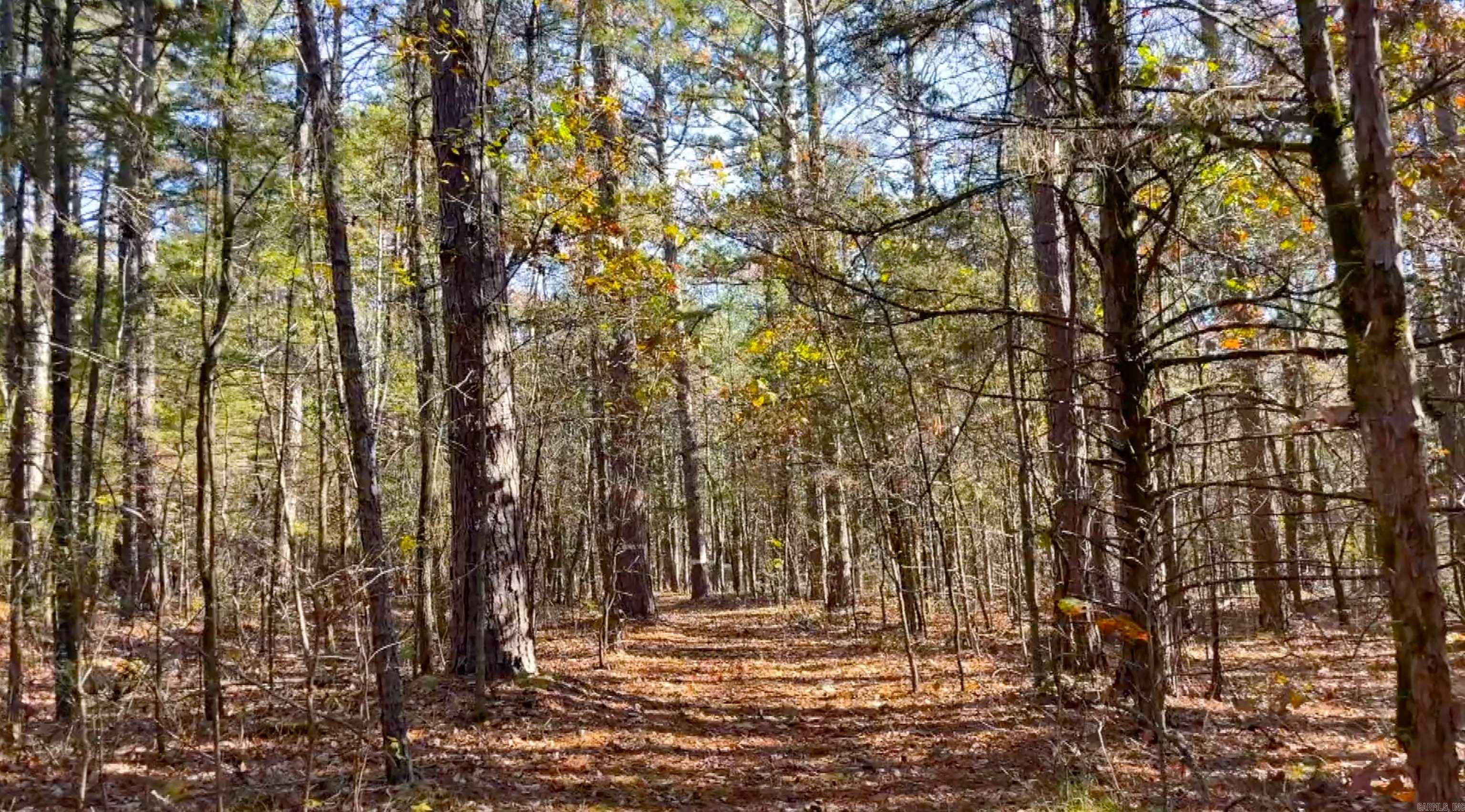 Greers Ferry, AR 72067,Lot 31 Shiloh Landing Pointe