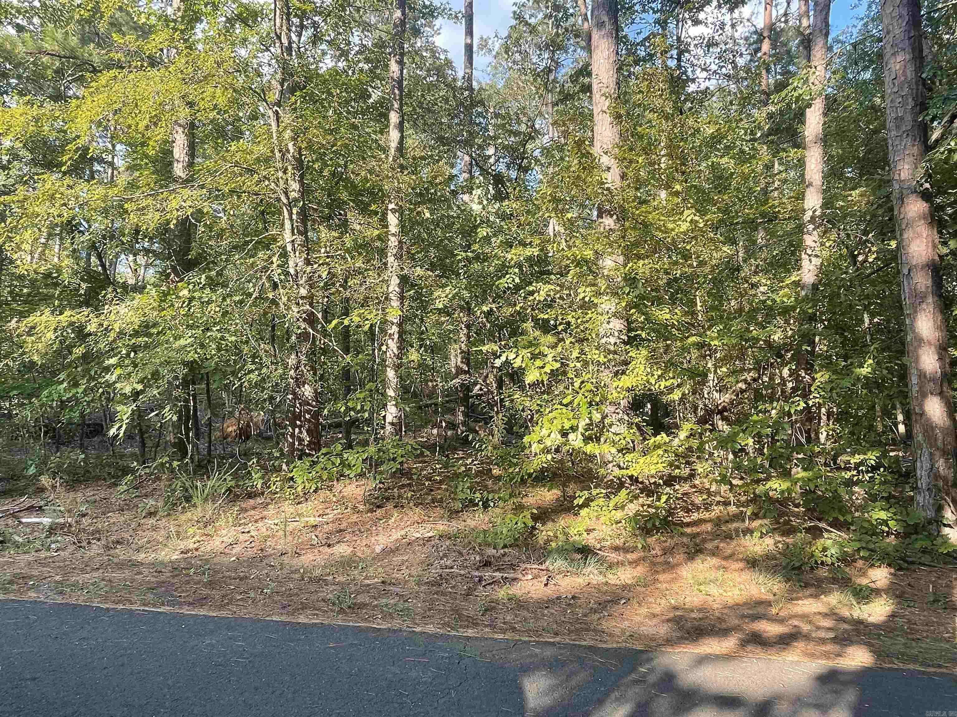 Hot Springs Village, AR 71909,Address not disclosed