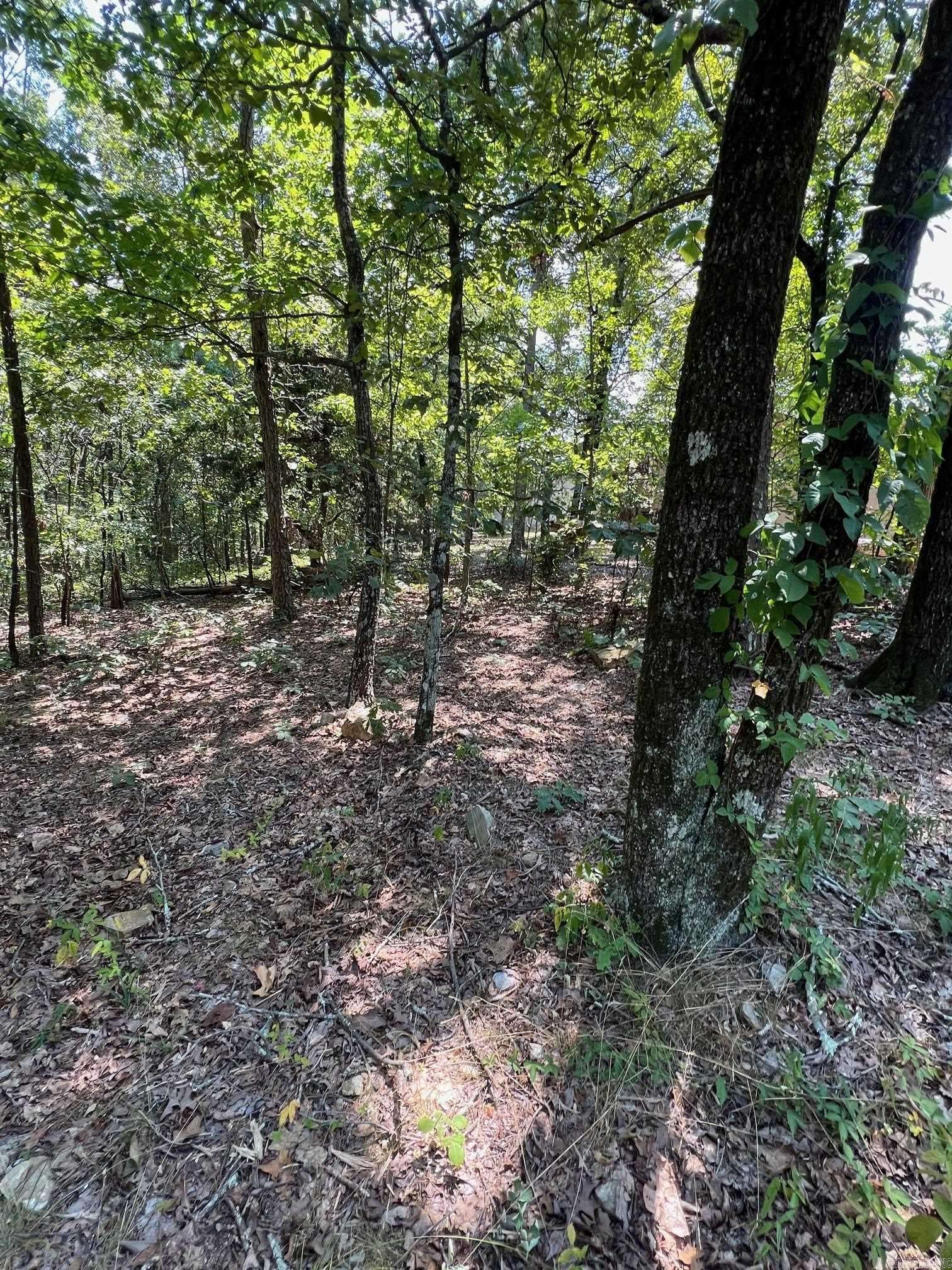 Hot Springs Village, AR 71909,TBD Murcia Way