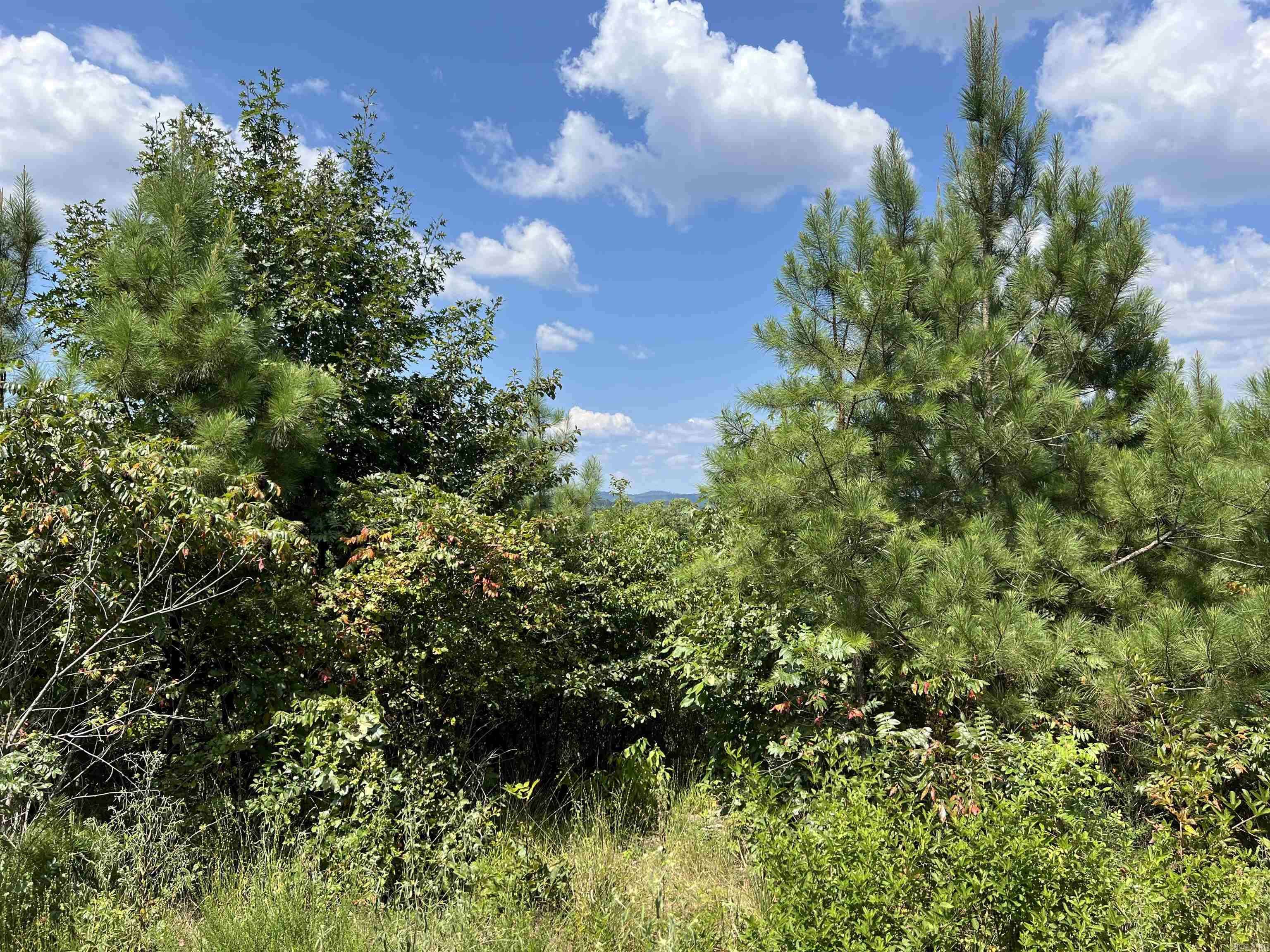 Bonnerdale, AR 71933,Address not disclosed