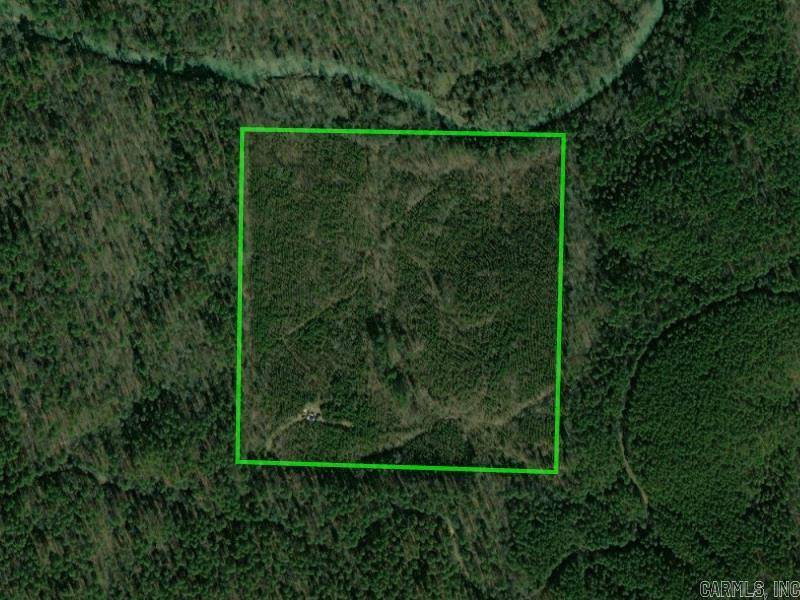 Bonnerdale, AR 71933,Address not disclosed