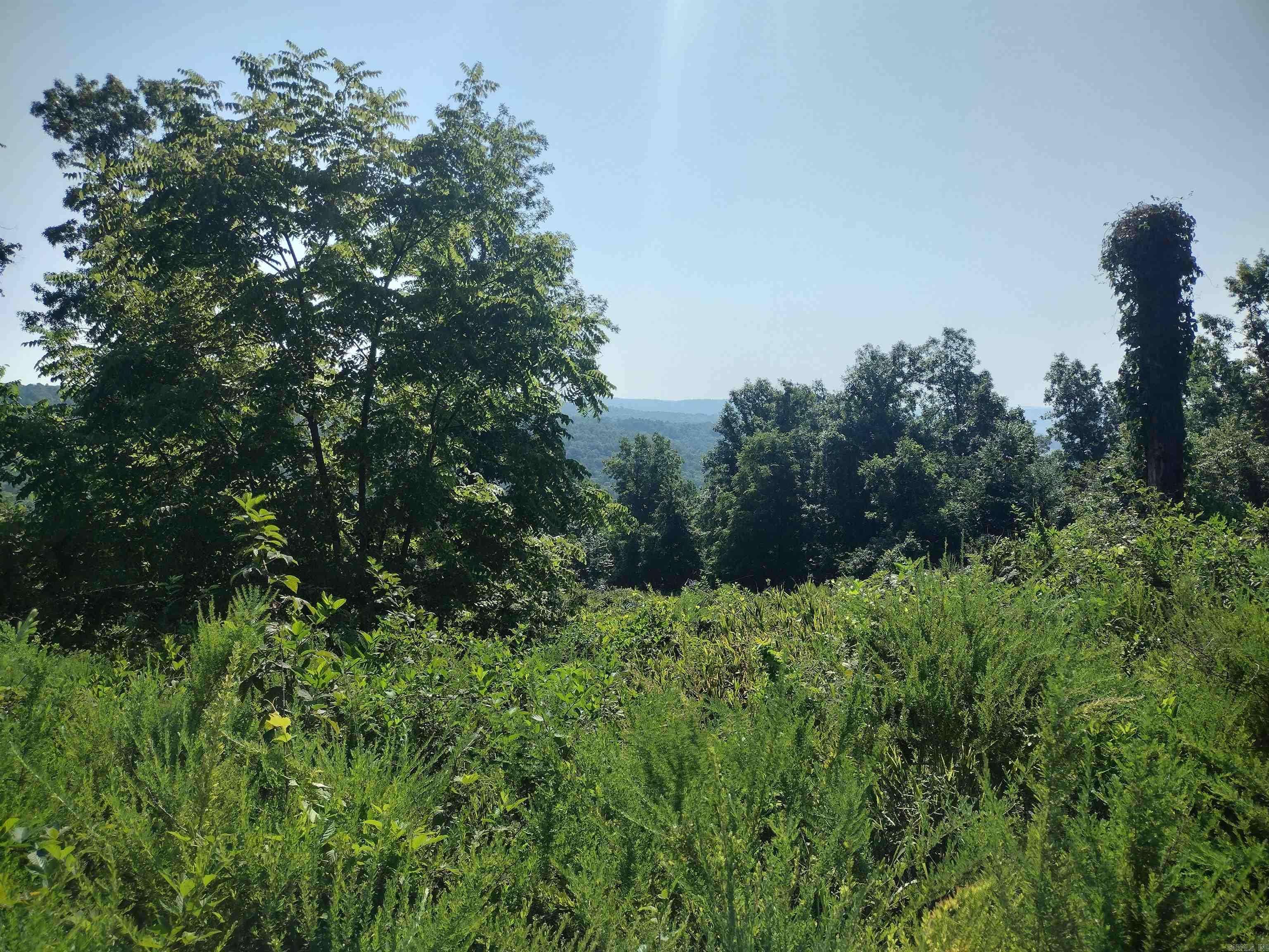 Fox, AR 72051,0 Sutterfield road