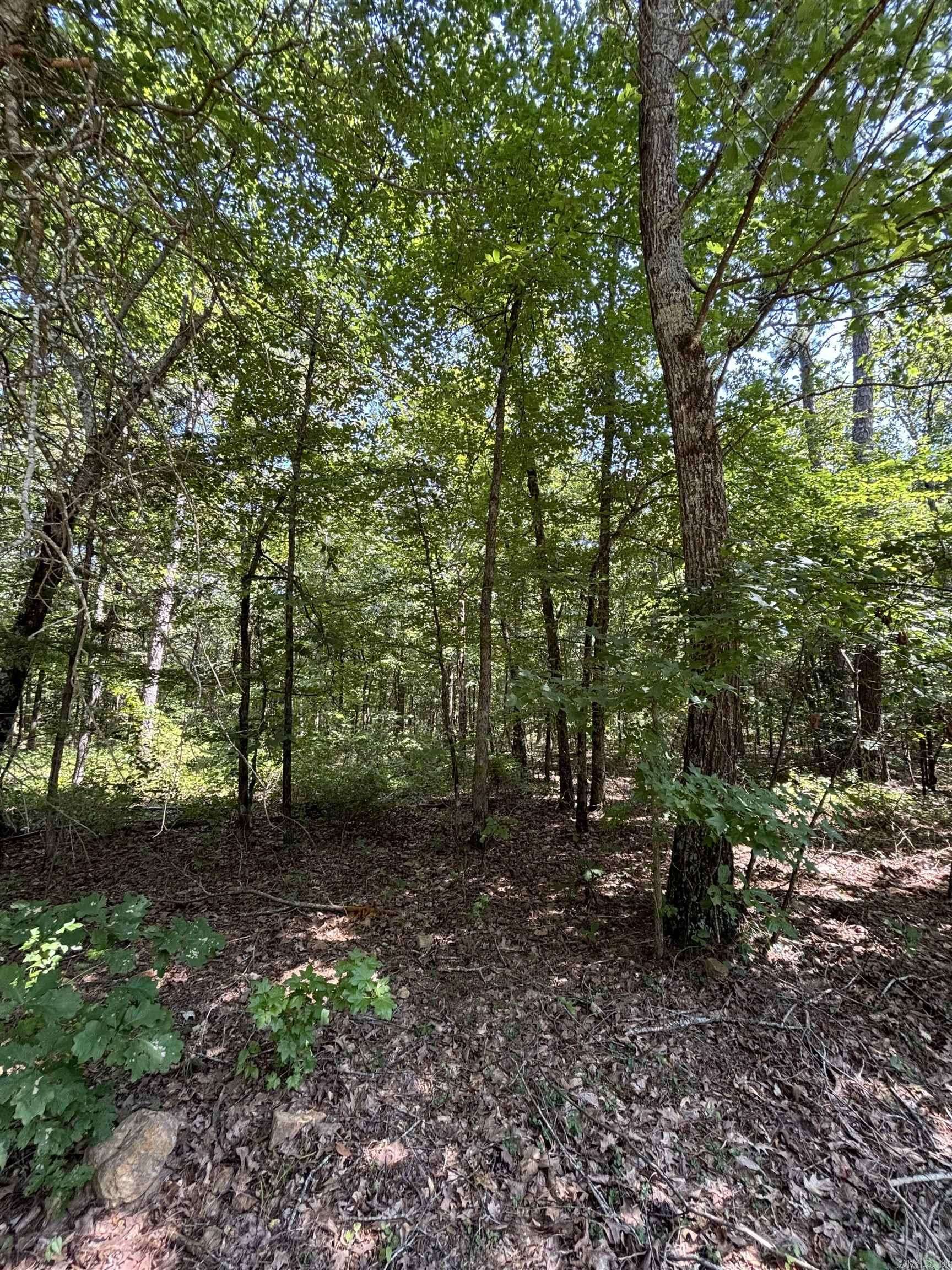 Clinton, AR 72031,Lot 25 Wood Lane