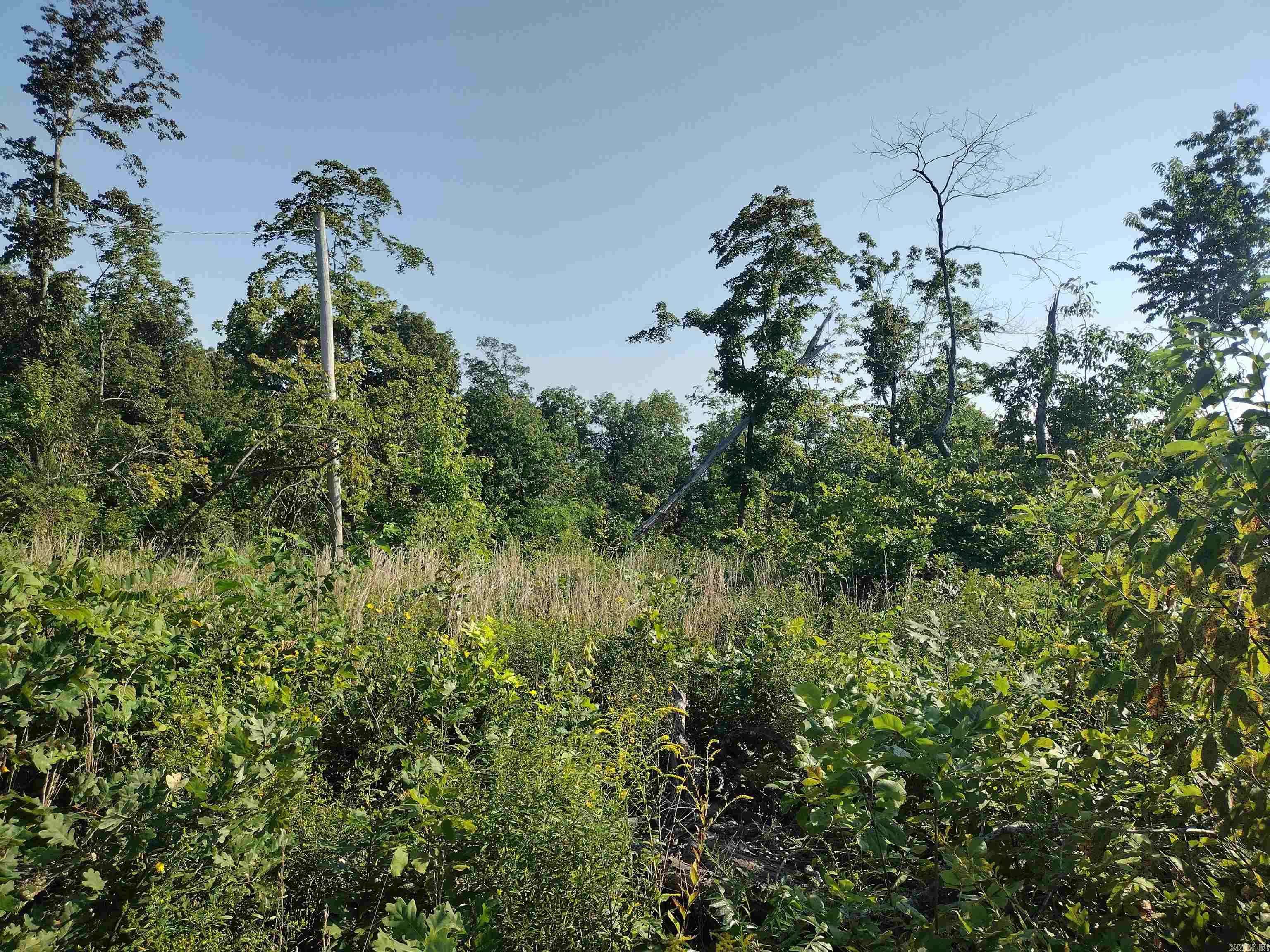 Fox, AR 72051,0000 Sutterfield