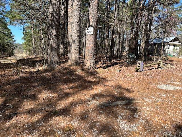 Mountain View, AR 72560,000 Church Road