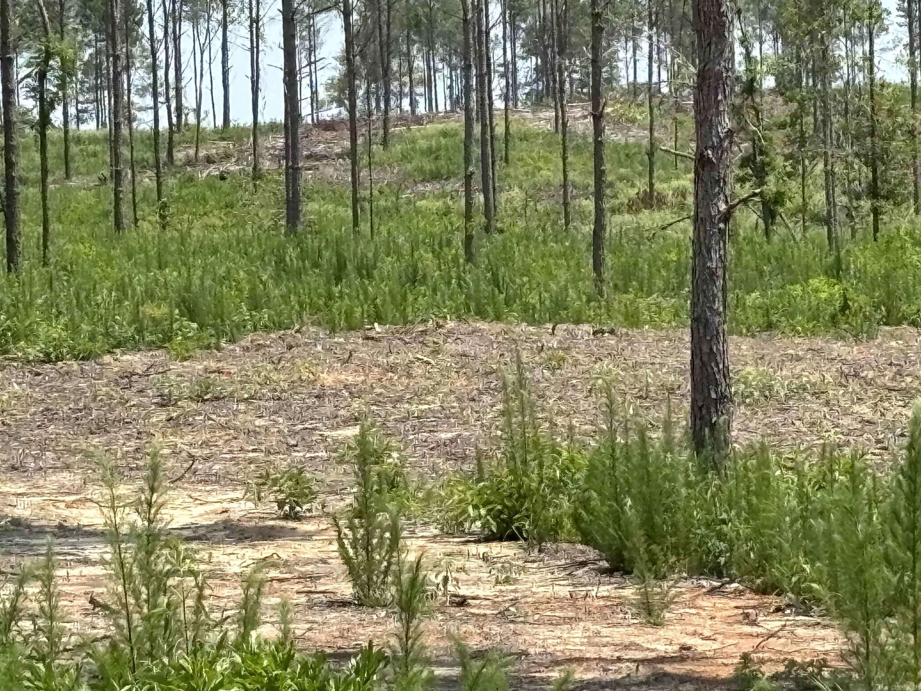 Sheridan, AR 72150,0 Grant 43 (D)