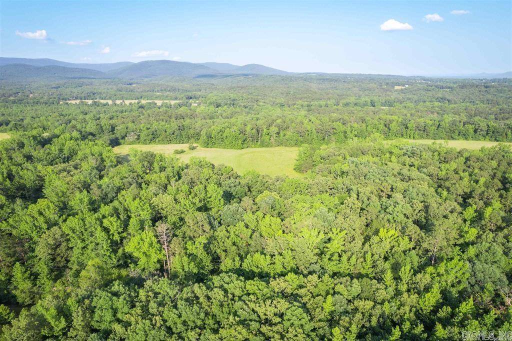 Mena, AR 71953-9999,TBD Polk Road 125 Lot 2