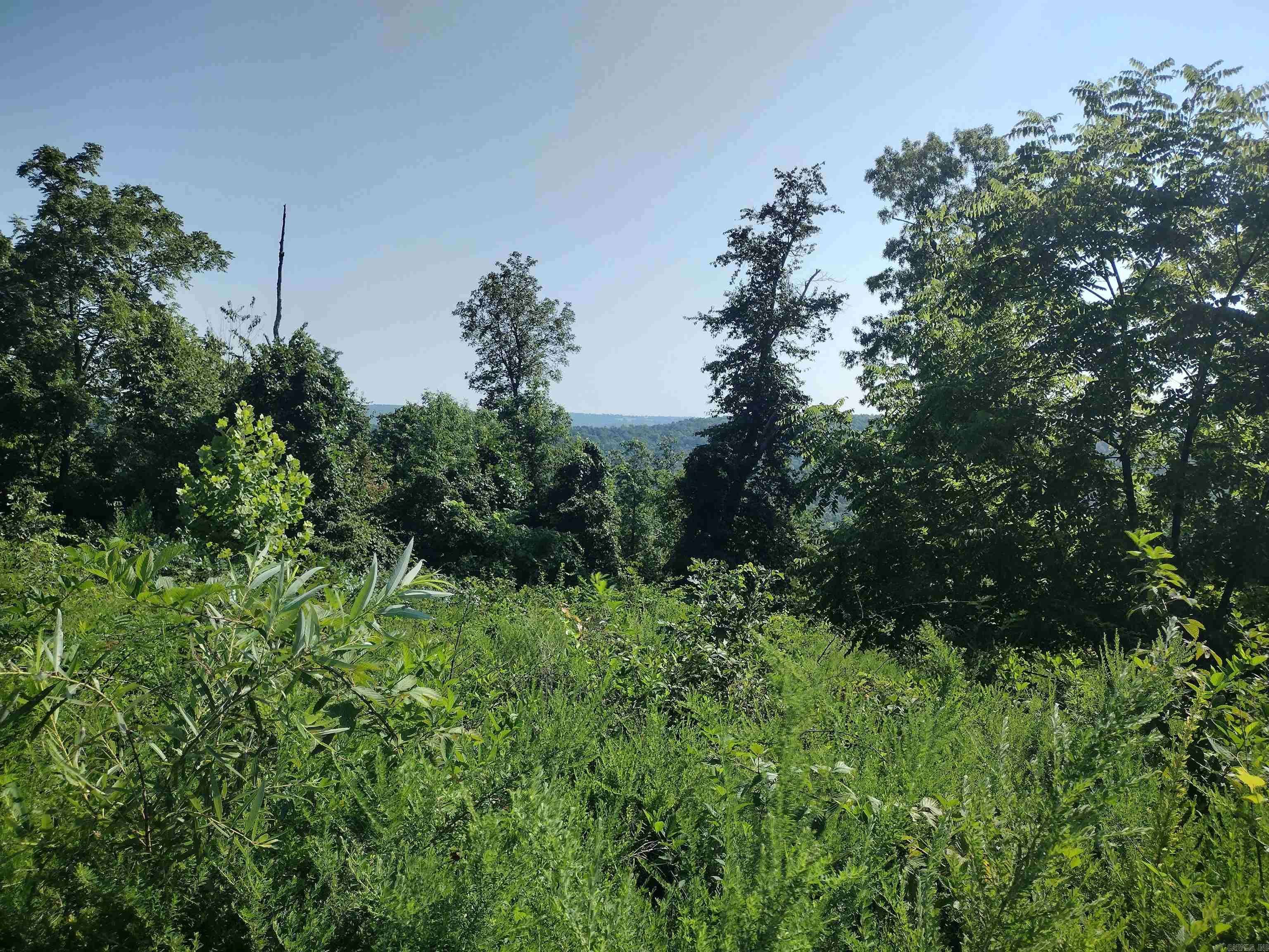 Mountain View, AR 72560,0 Null Rd