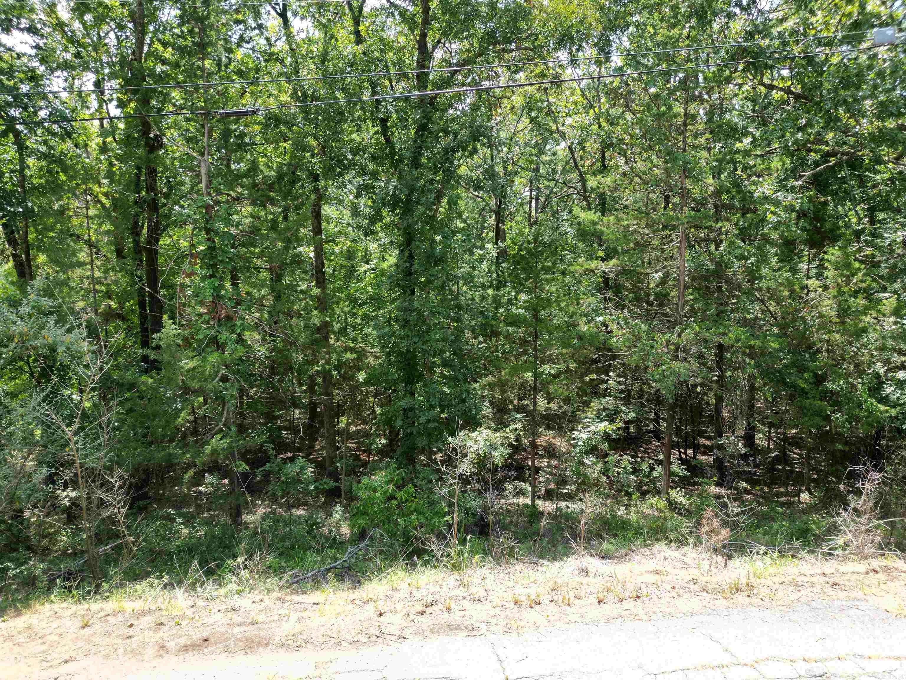 Heber Springs, AR 72543,Lot 3 Woodland West