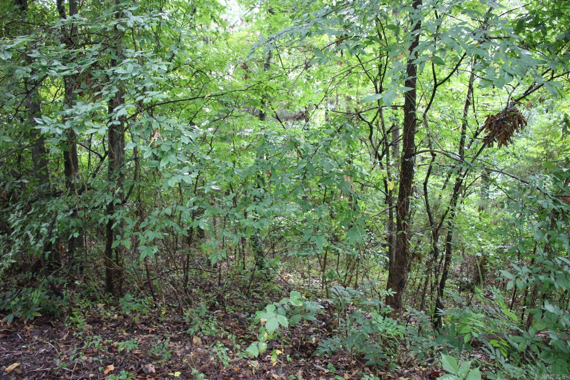 Summit, AR 72677,790-00540-008 S Maplewood Lane