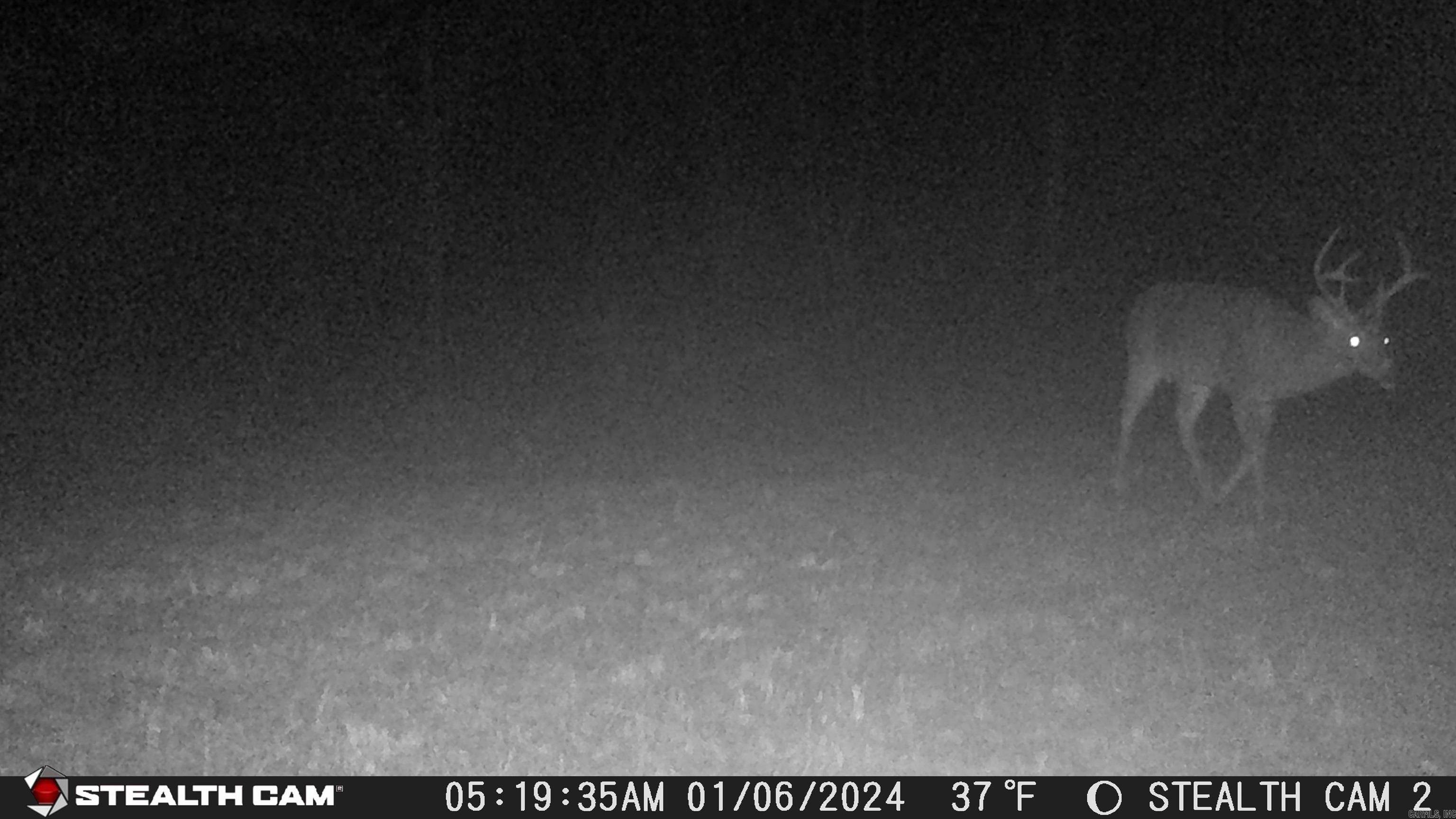 Mountain Pine, AR 71956,Address not disclosed