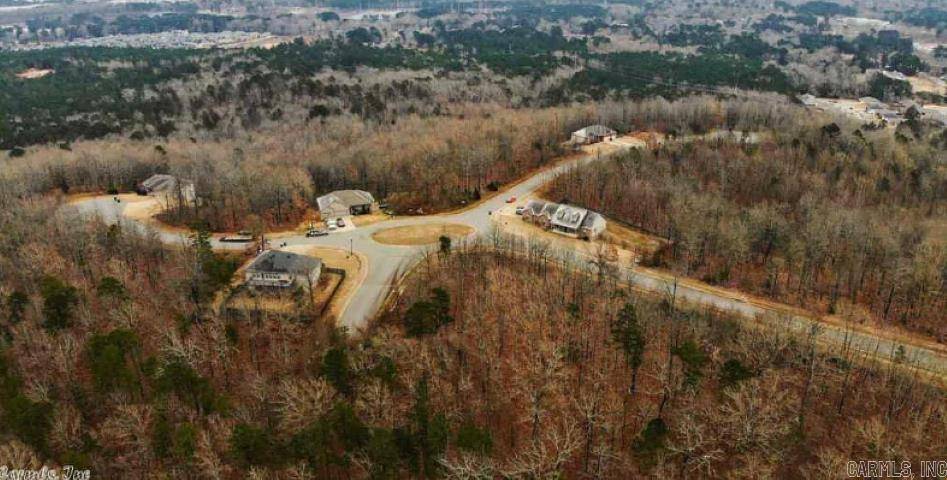 Alexander, AR 72002,24 Mountain Vista Drive