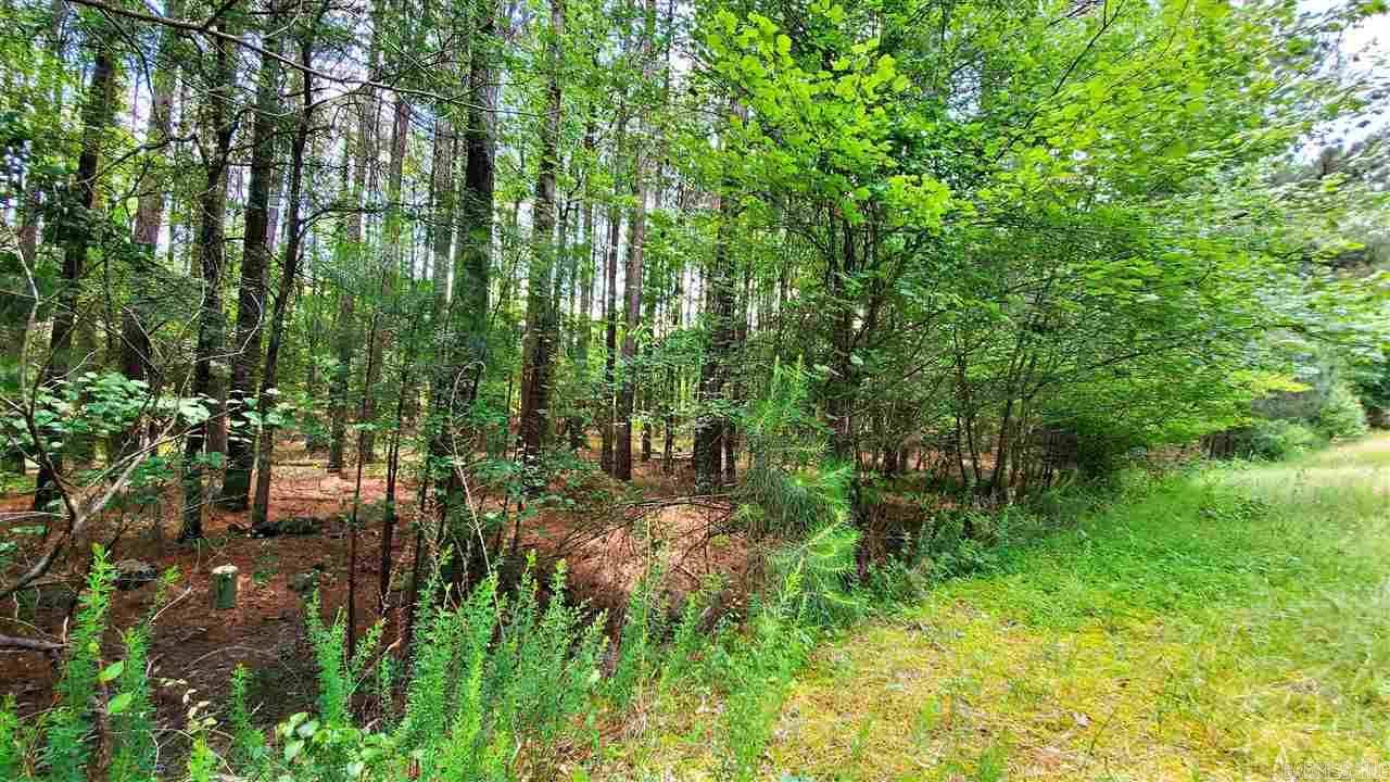 Hot Springs Village, AR 71909,000 Mandarina Drive