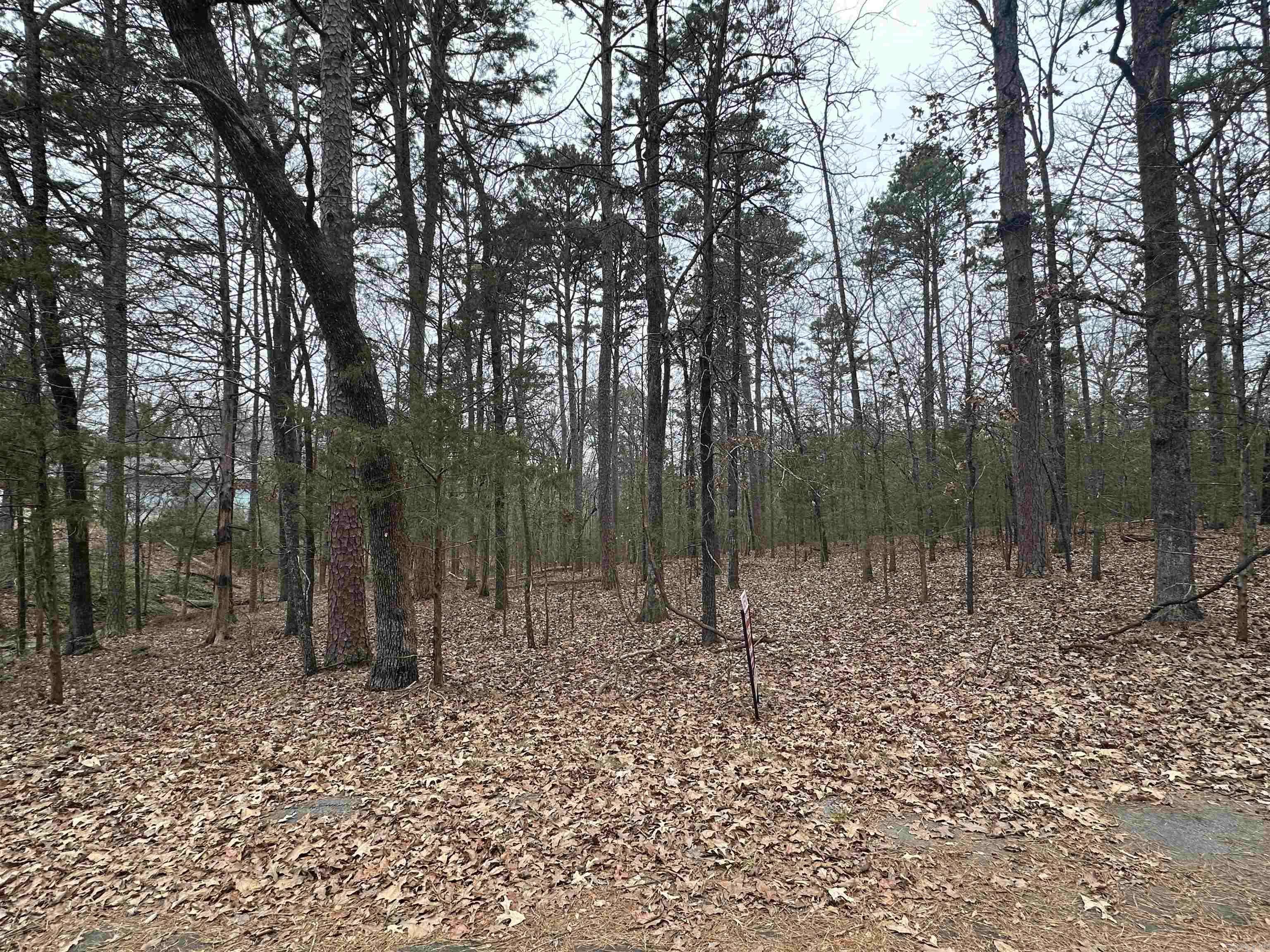 Heber Springs, AR 72543,0 Baywood Drive